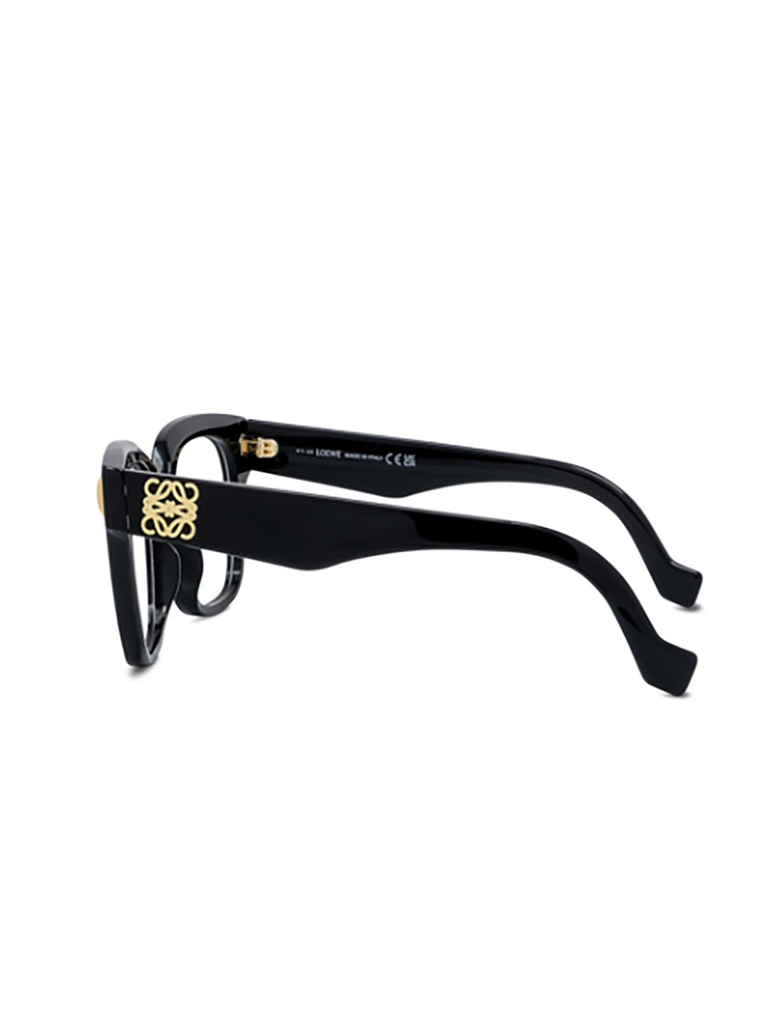 Oversized Black Acetate Optical Frames