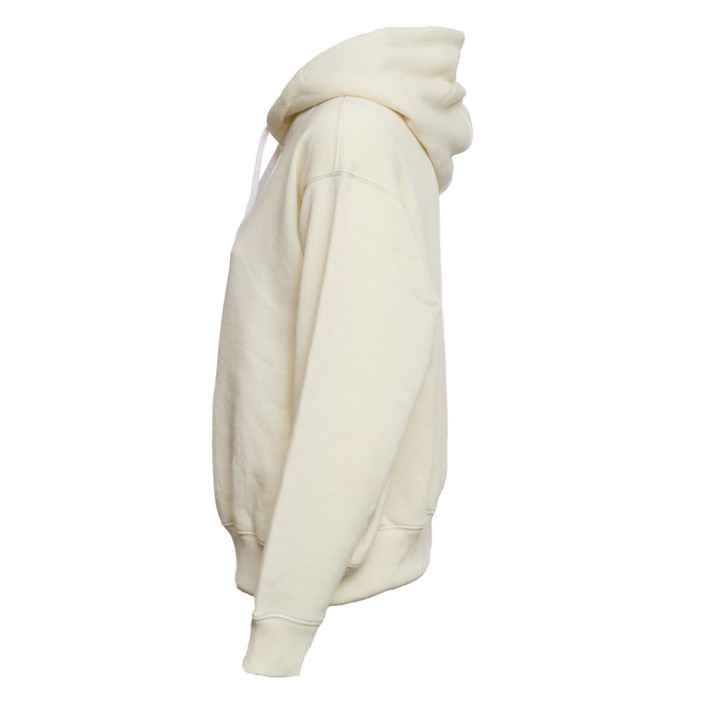 Polo Bear Hooded Sweatshirt