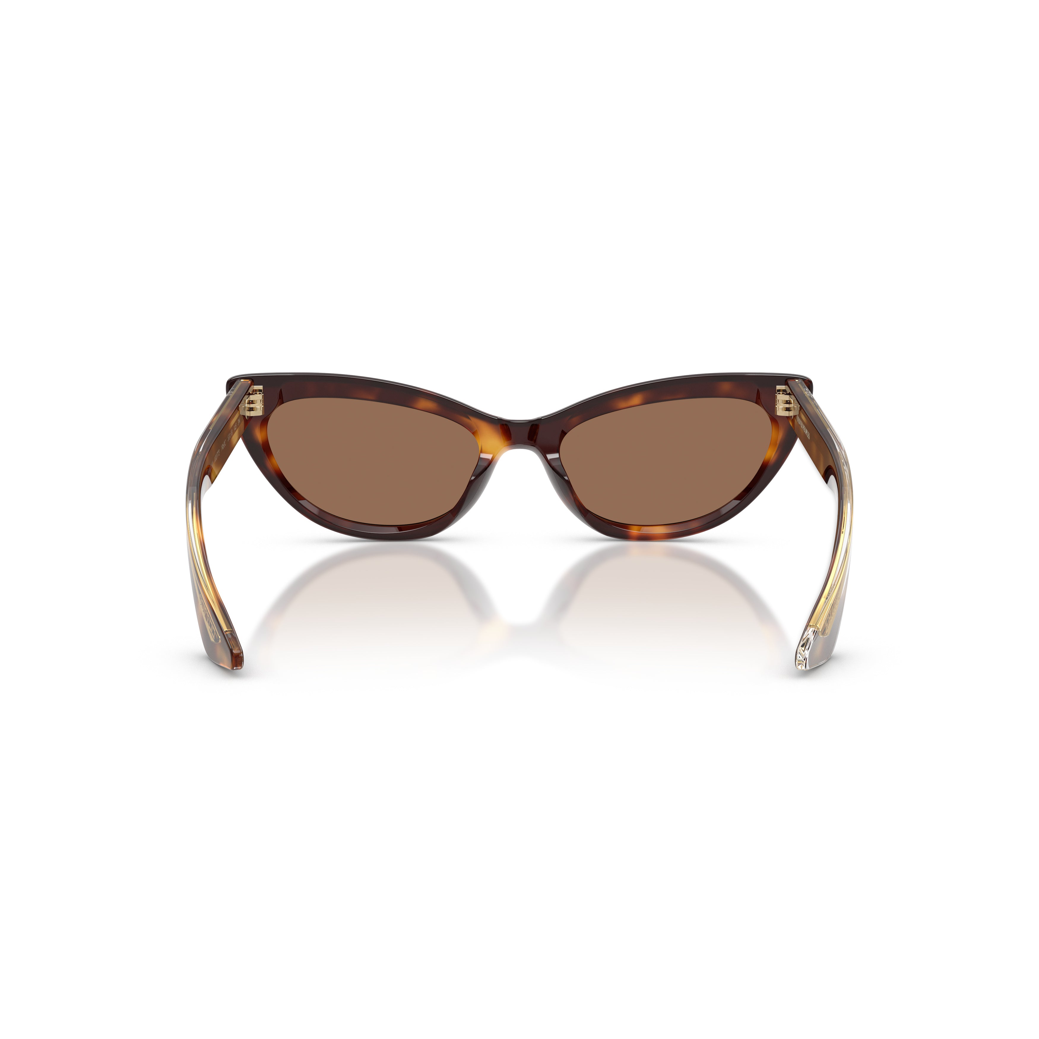 0ov5621su Cat-Eye Tortoiseshell Acetate Sunglasses with Brown-Tinted Lenses