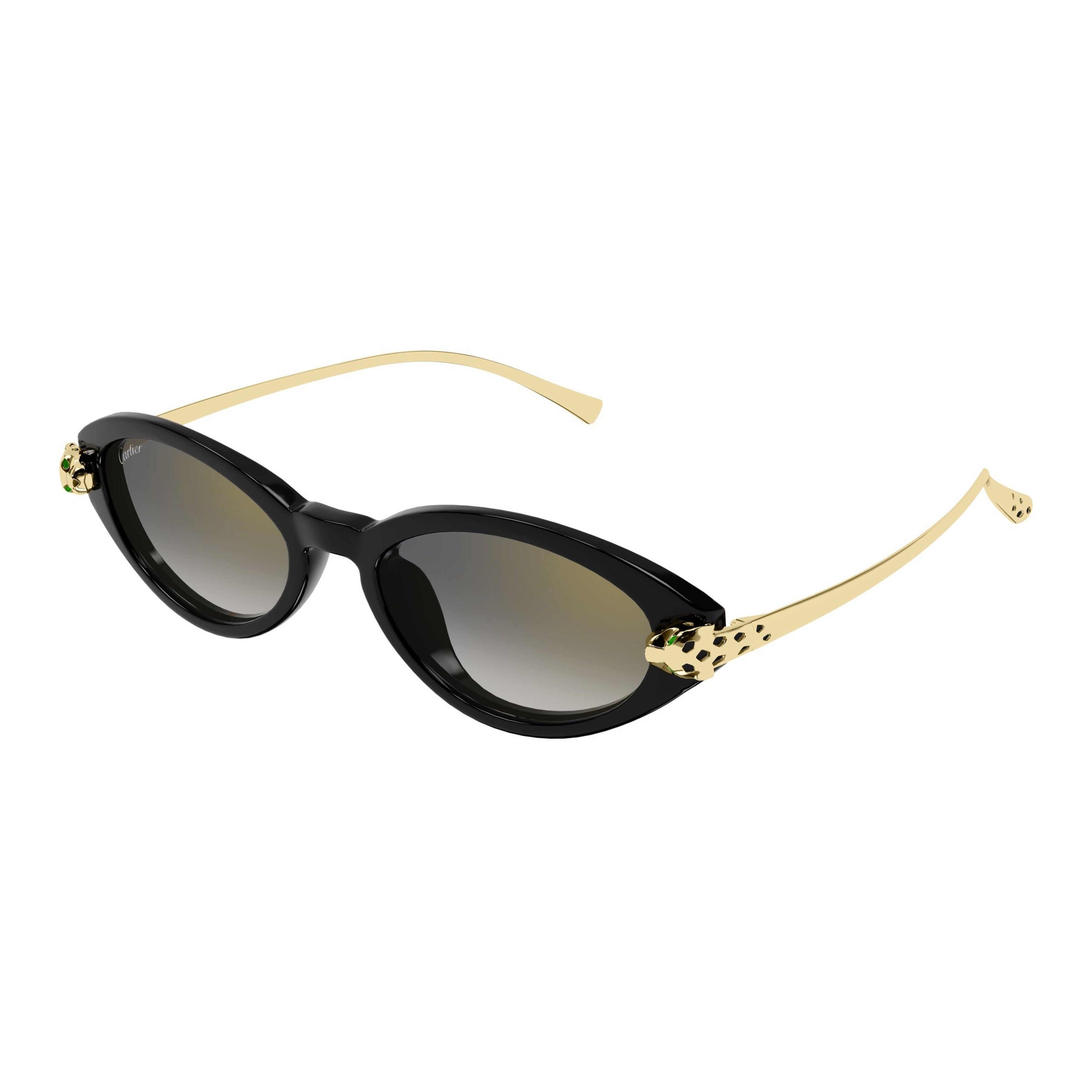 Ct0634s Oval-Shaped Black Acetate Sunglasses