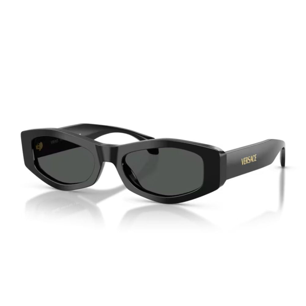 0Ve4487U Signature Geometric Black Acetate Sunglasses