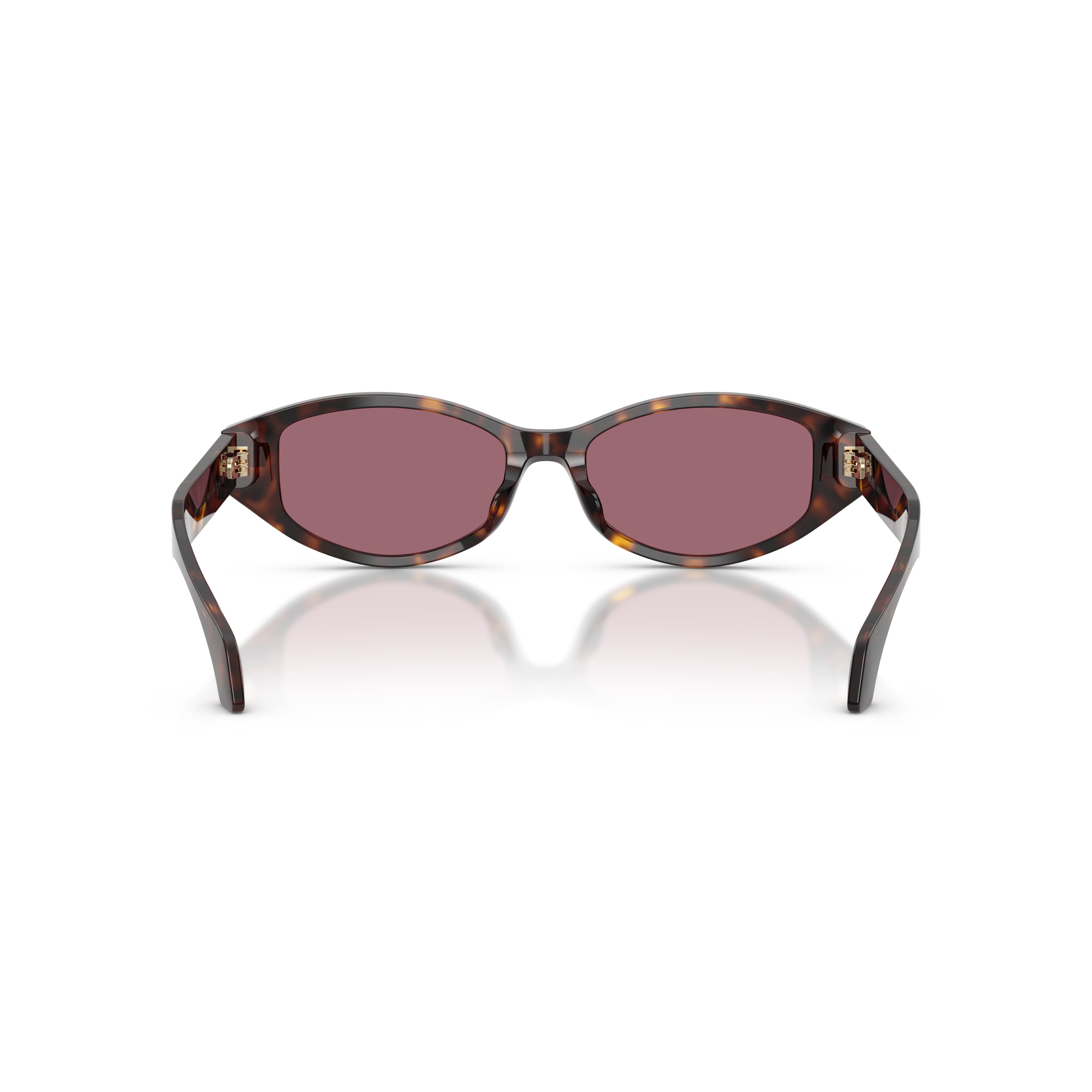 0ve4512d Tortoiseshell Acetate Oval Sunglasses