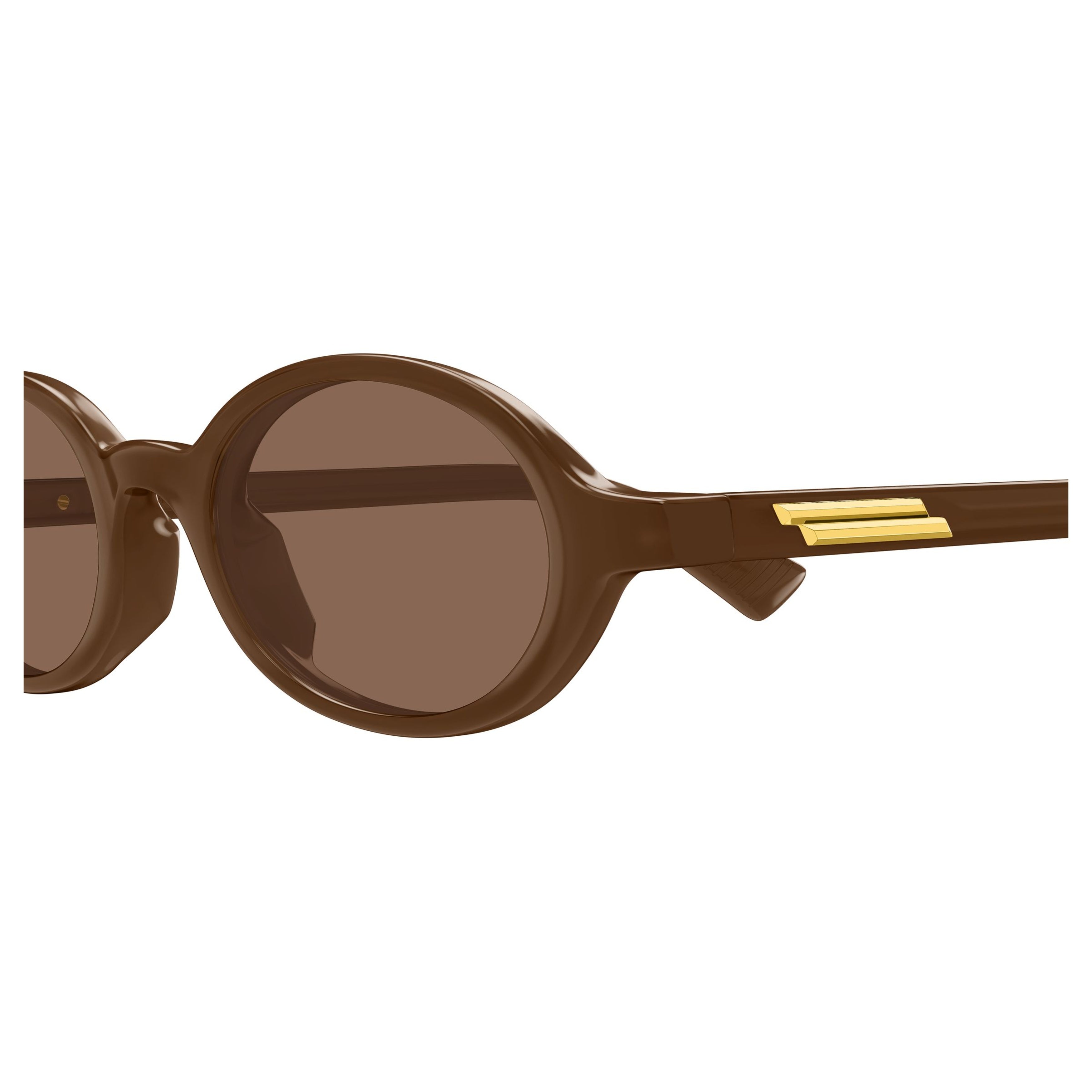 Bv1388s Rounded Brown Acetate Sunglasses
