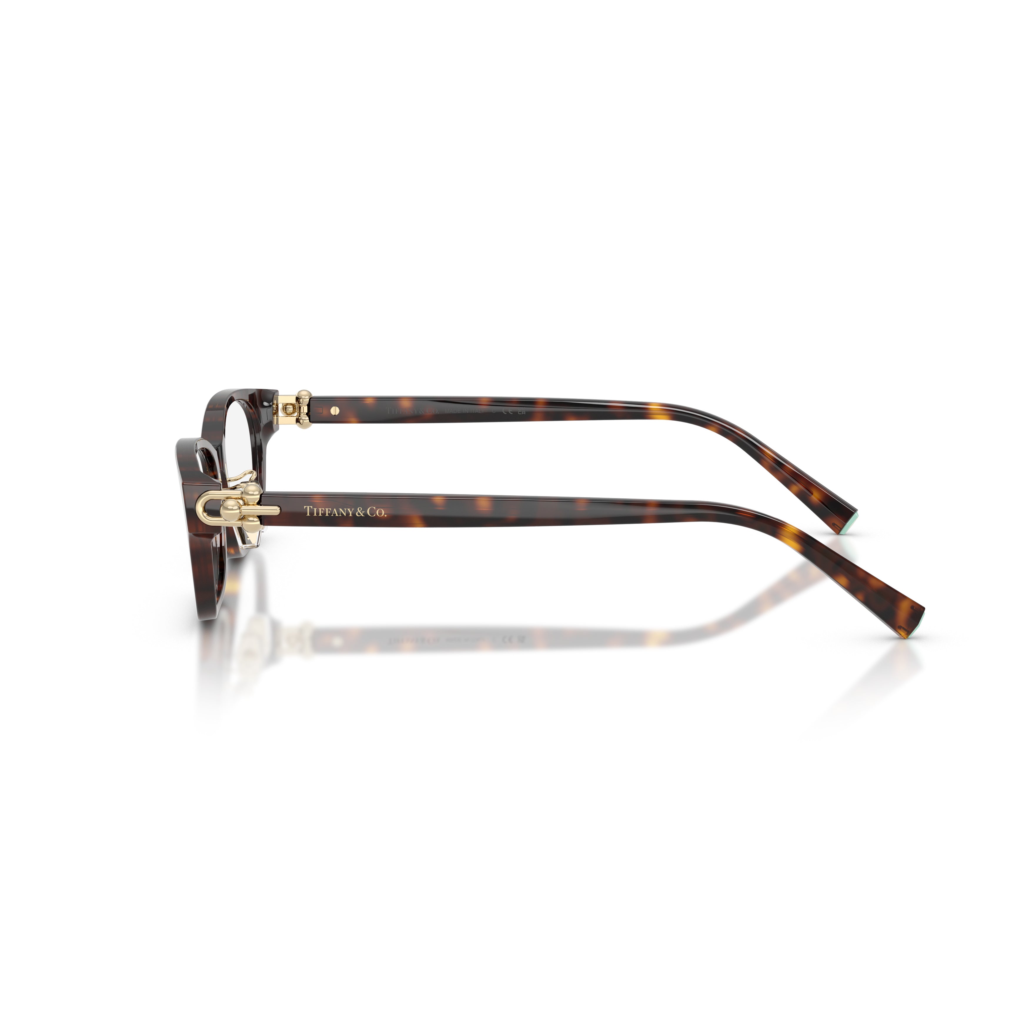 Black Acetate Rectangular Eyeglasses With Gold Accents