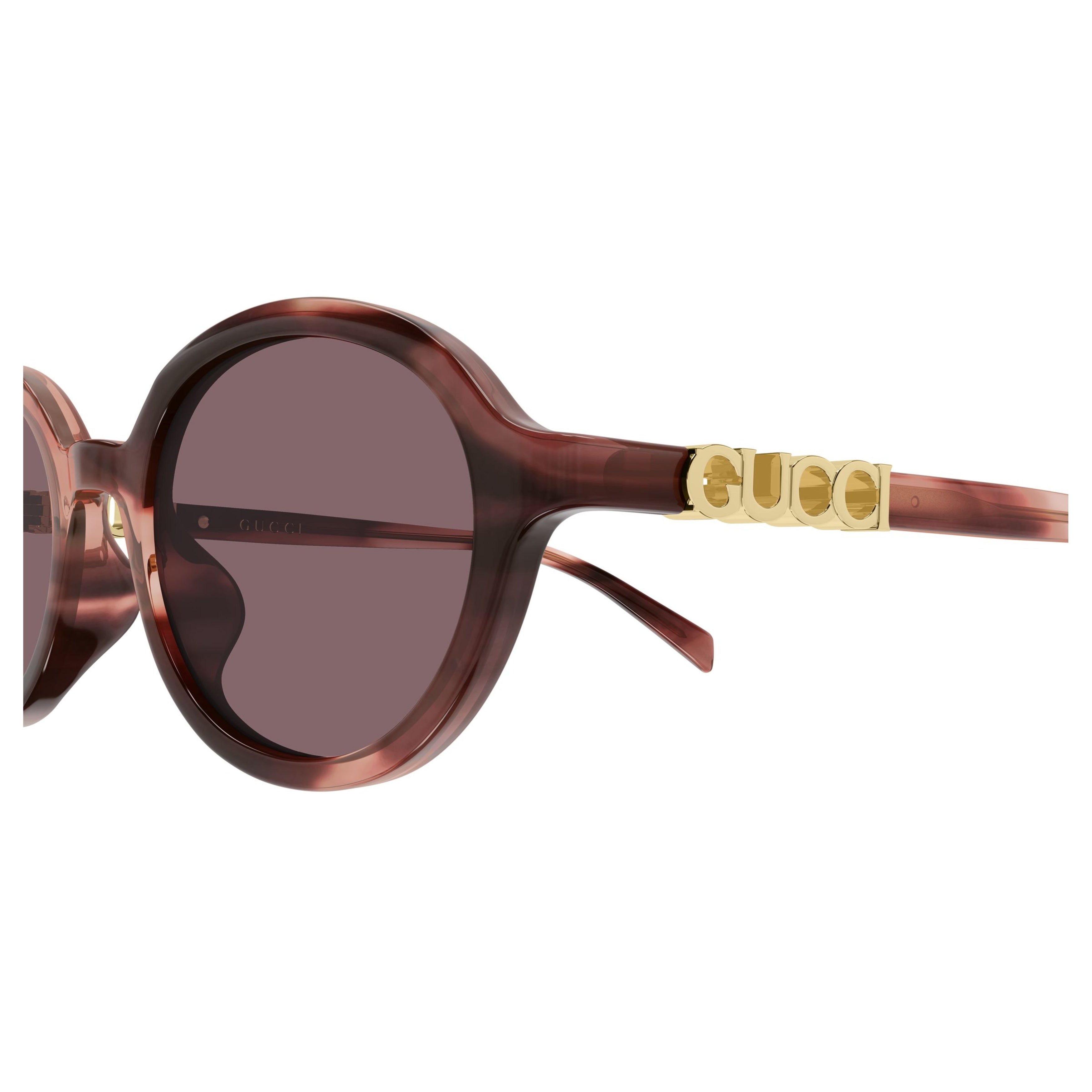 Gg2033sa Translucent Brown Acetate Sunglasses
