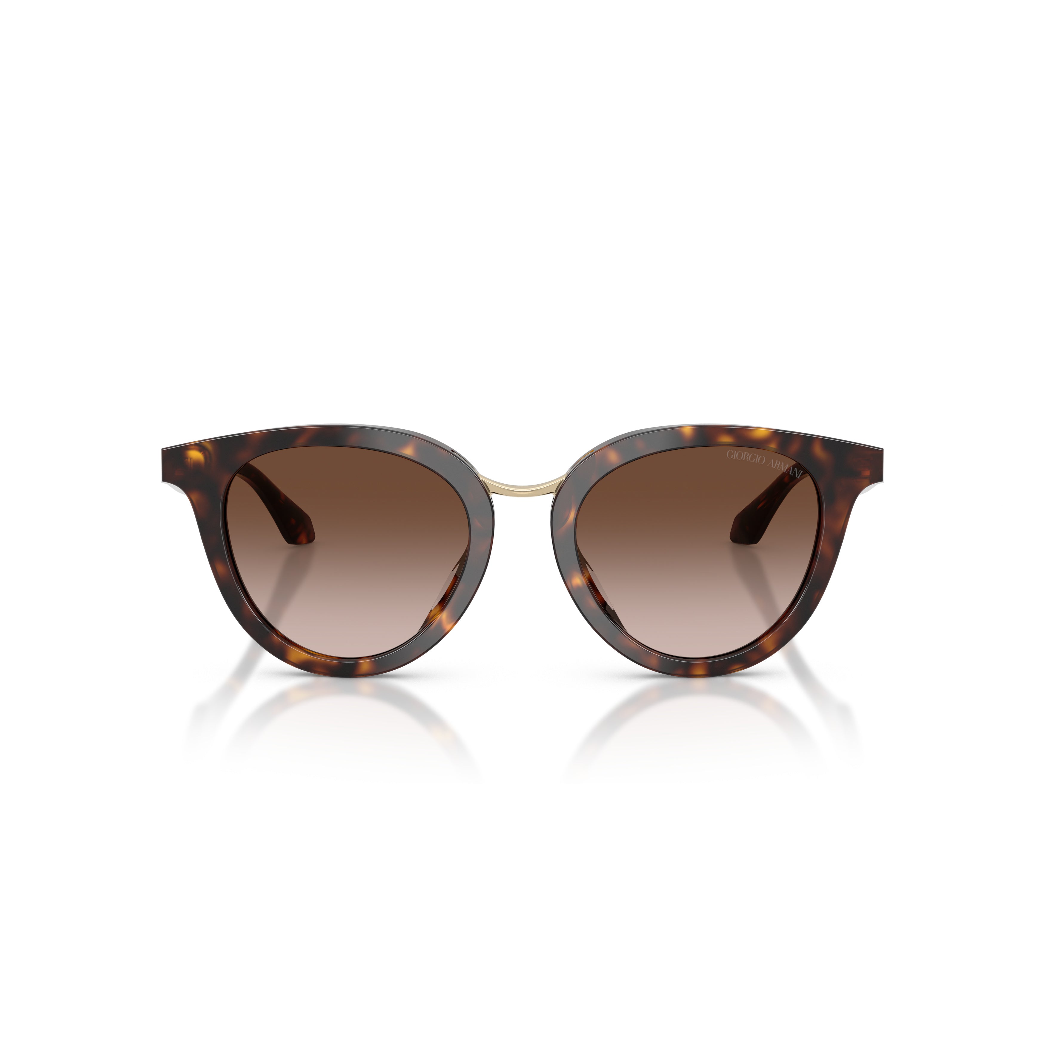 0ar8252u Rounded Cat-Eye Sunglasses with Tortoiseshell Acetate Frame