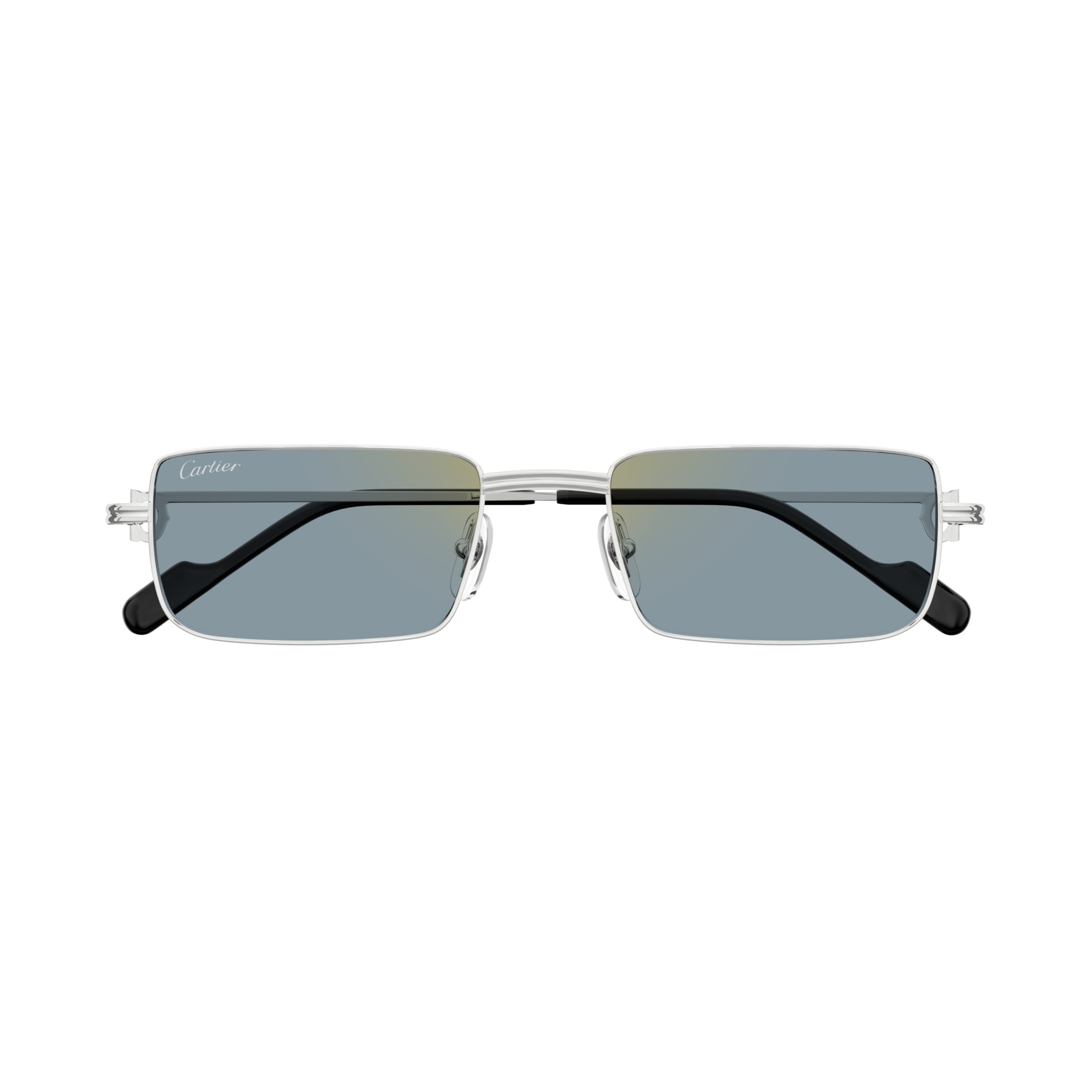 Ct0501s Rectangular Frame Sunglasses
