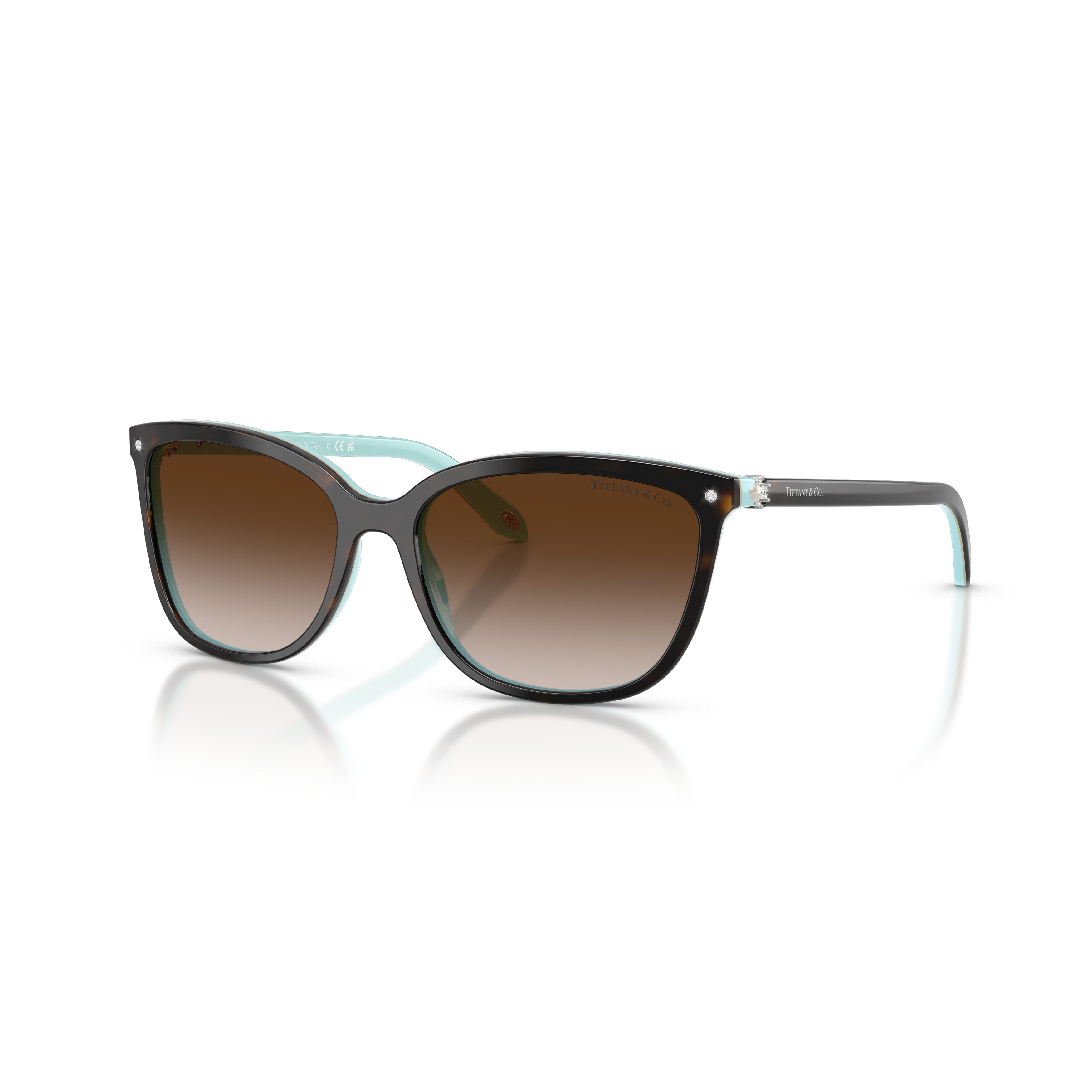 0tf4105hb Cat-Eye Sunglasses in Glossy Acetate