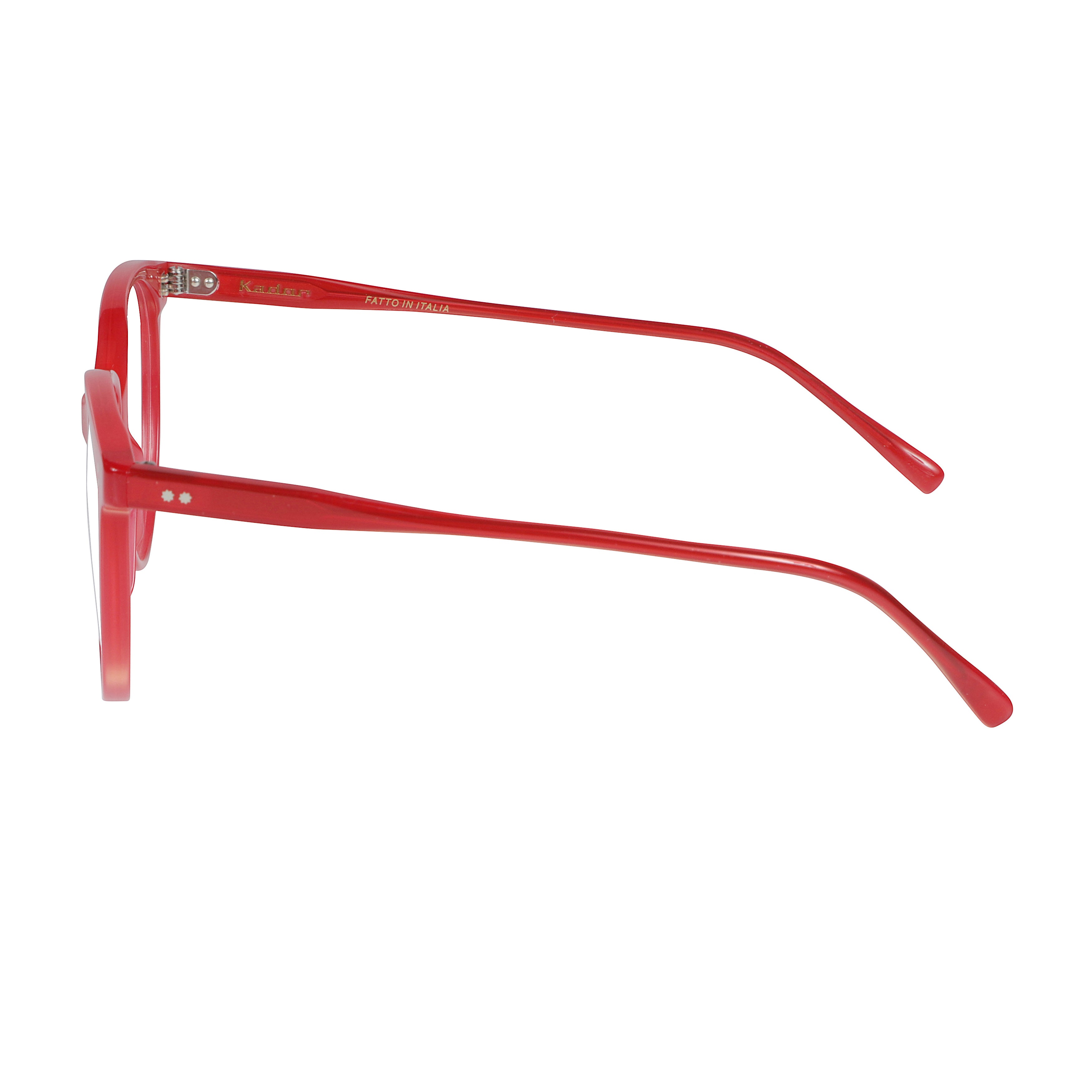 Cynda/N-54 Bold Round Frame Sunglasses with Glossy Finish