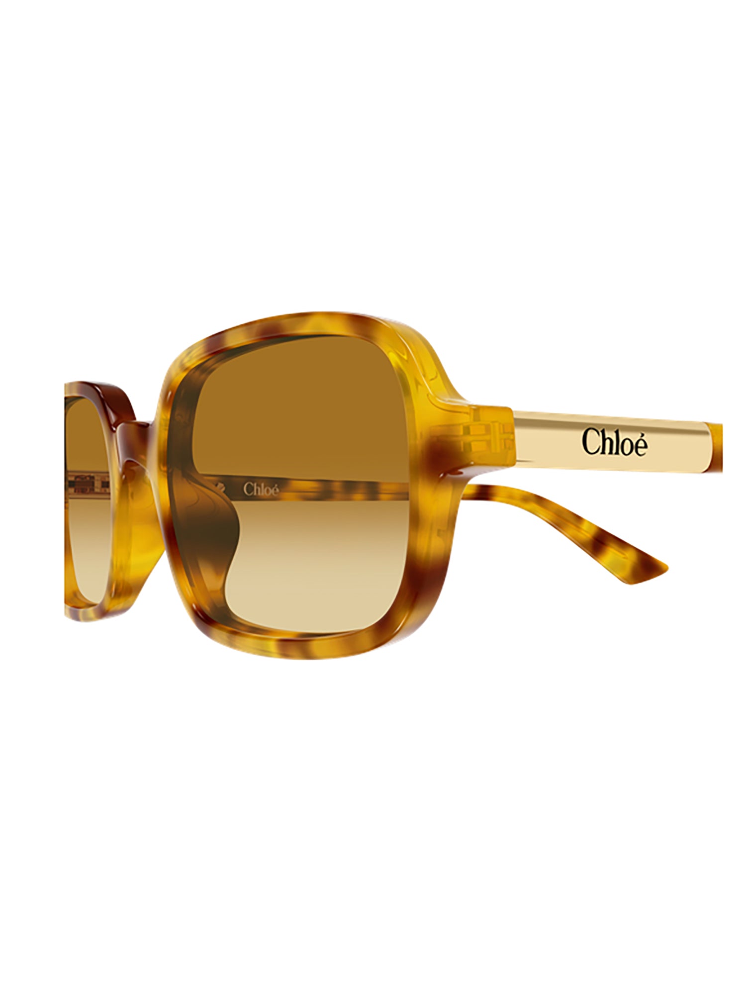 Tortoiseshell Brown Rectangular Sunglasses