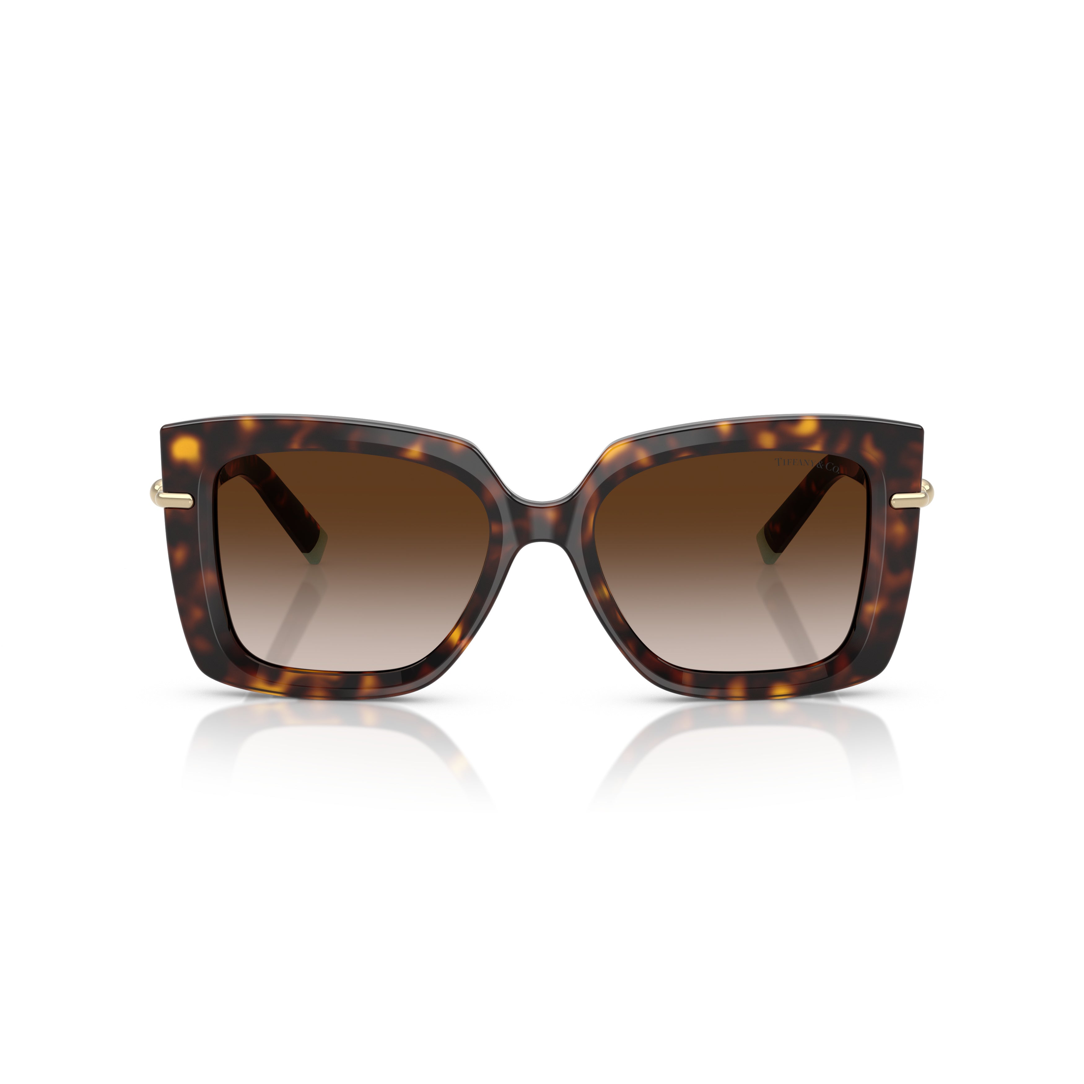 0tf4199 Oversized Tortoiseshell Square Sunglasses