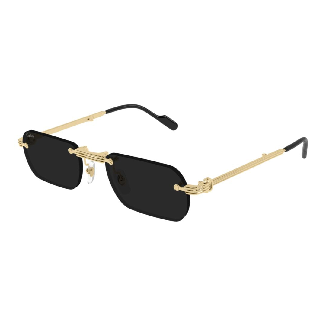 Ct0499s Rectangular Black Lens Sunglasses