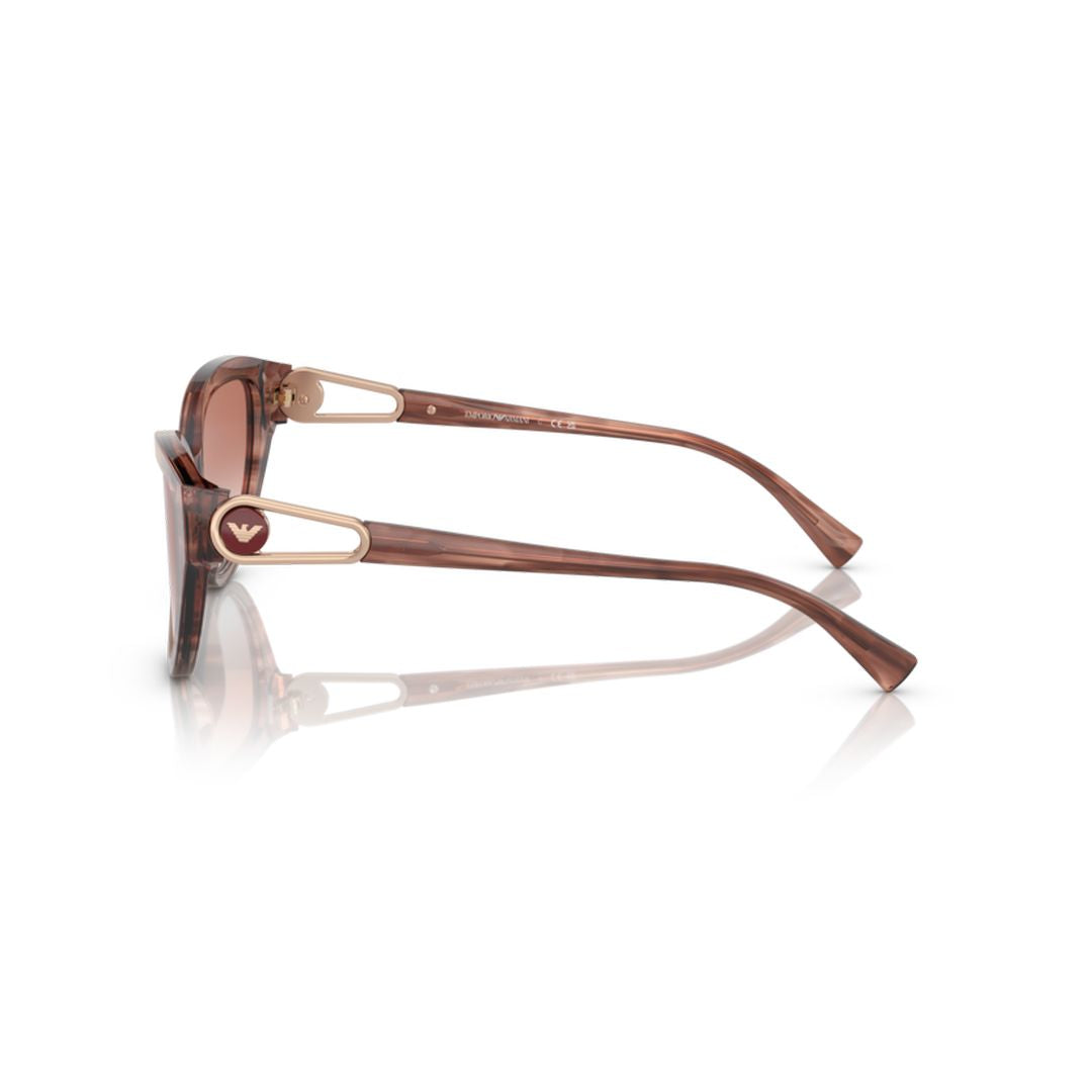 4192 Sole Cat-Eye Sunglasses with Translucent Brown Acetate