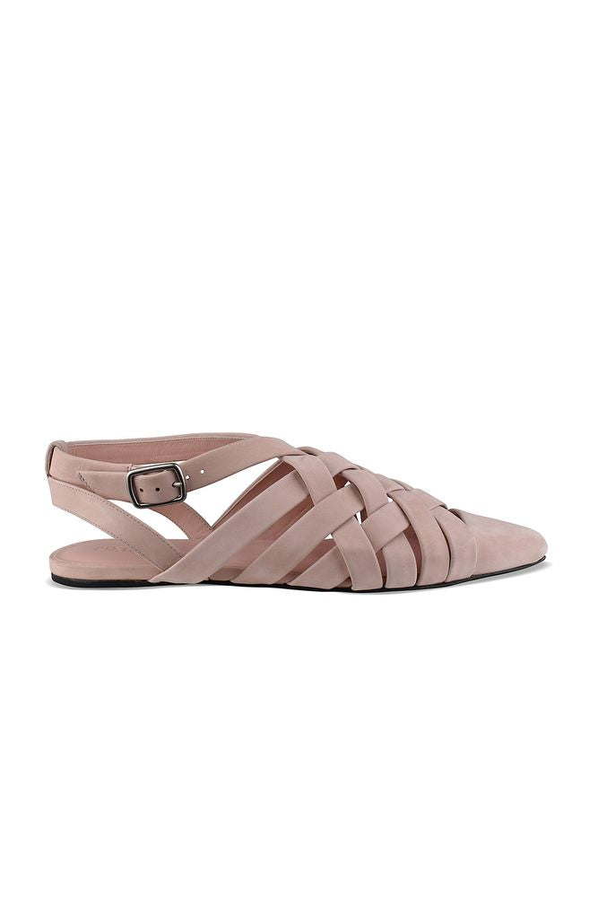 Silene Ballerinas