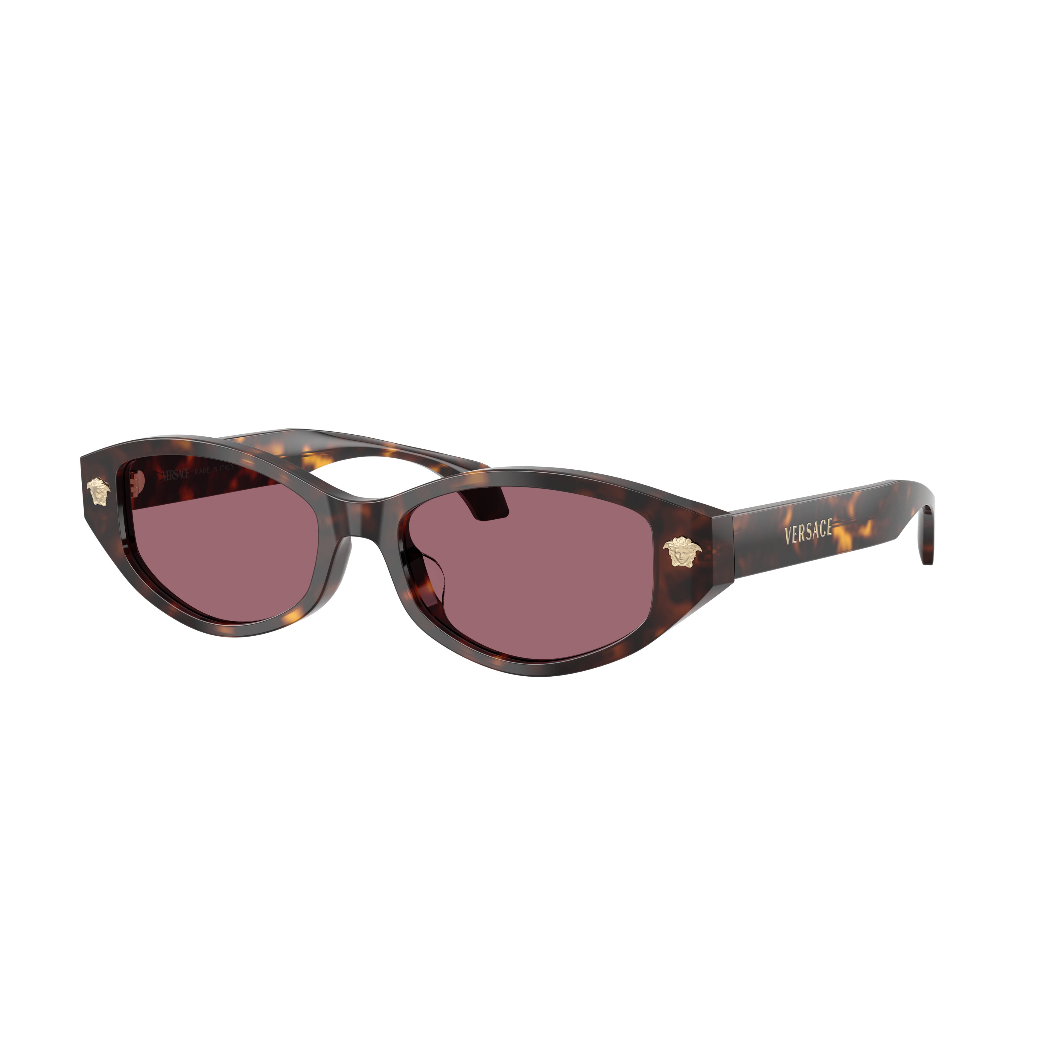 0ve4512d Tortoiseshell Acetate Oval Sunglasses