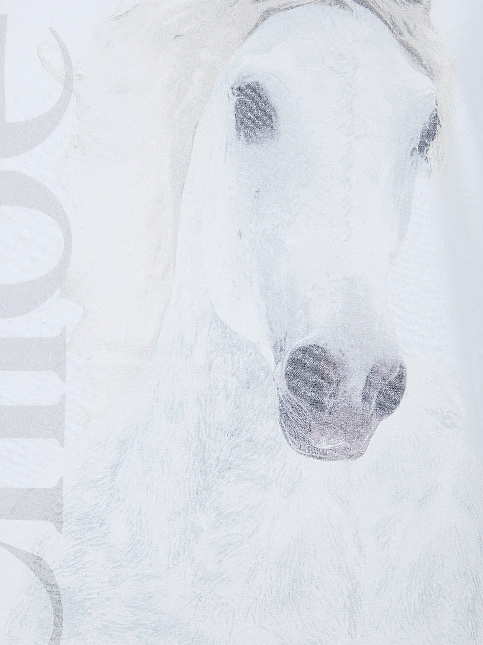 Organic Cotton Crew Neck T-Shirt with Faded Horse Print