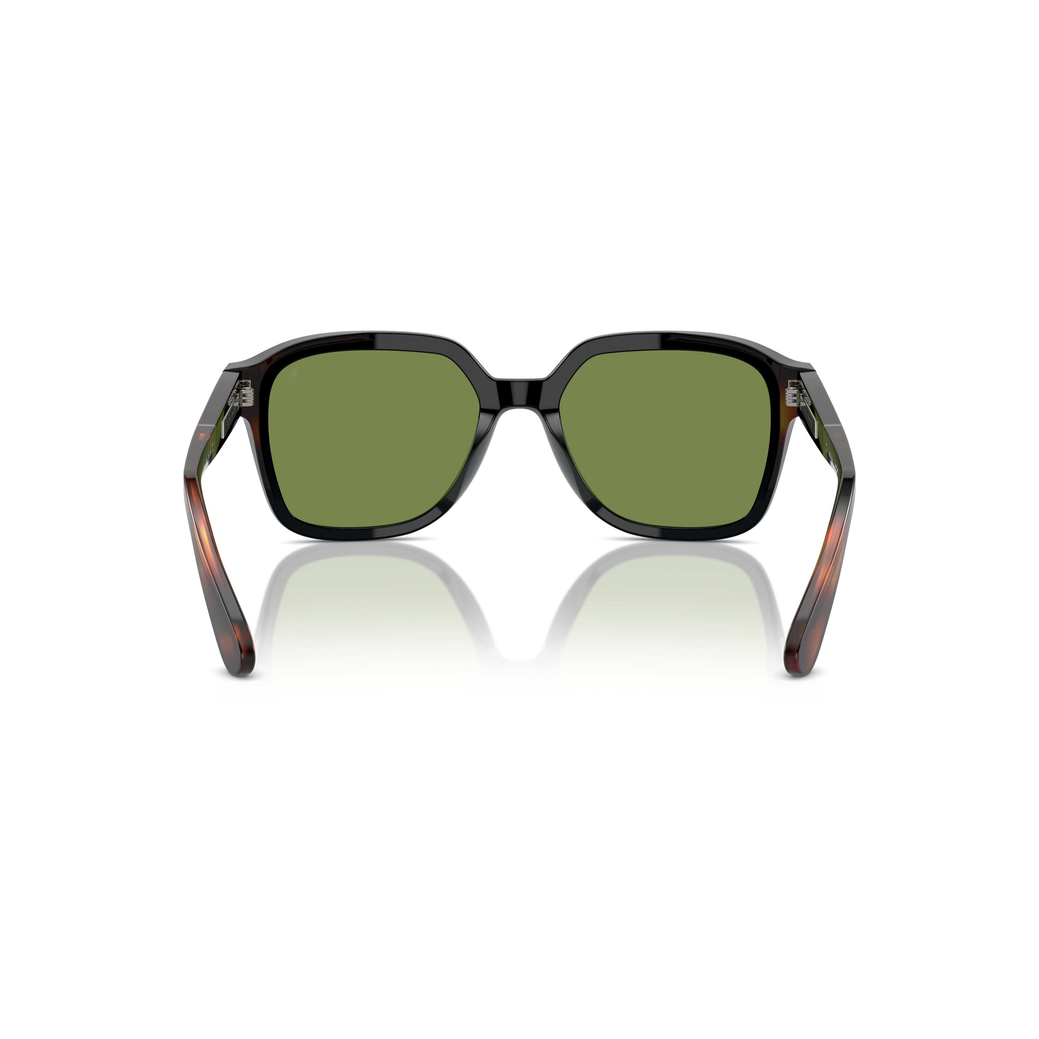 0bc4005s Square-Shaped Acetate Sunglasses with Tortoiseshell Temples