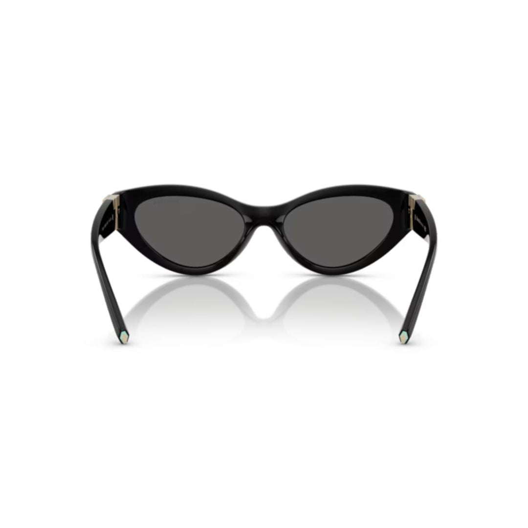 0tf4225u Cat-Eye Sunglasses with Gold-Tone Detail