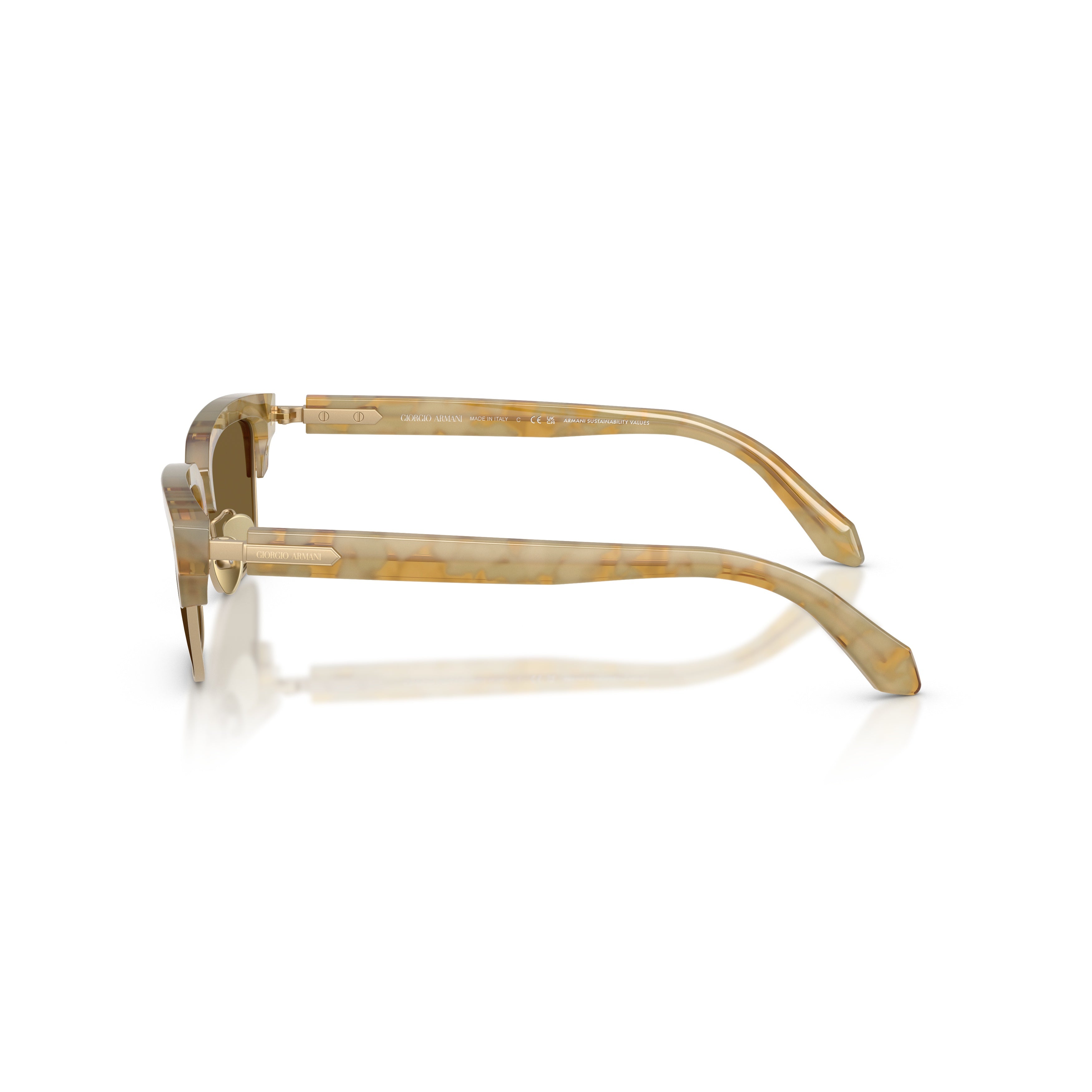 0ar8243 Translucent Beige Acetate Sunglasses with Tortoiseshell Accents