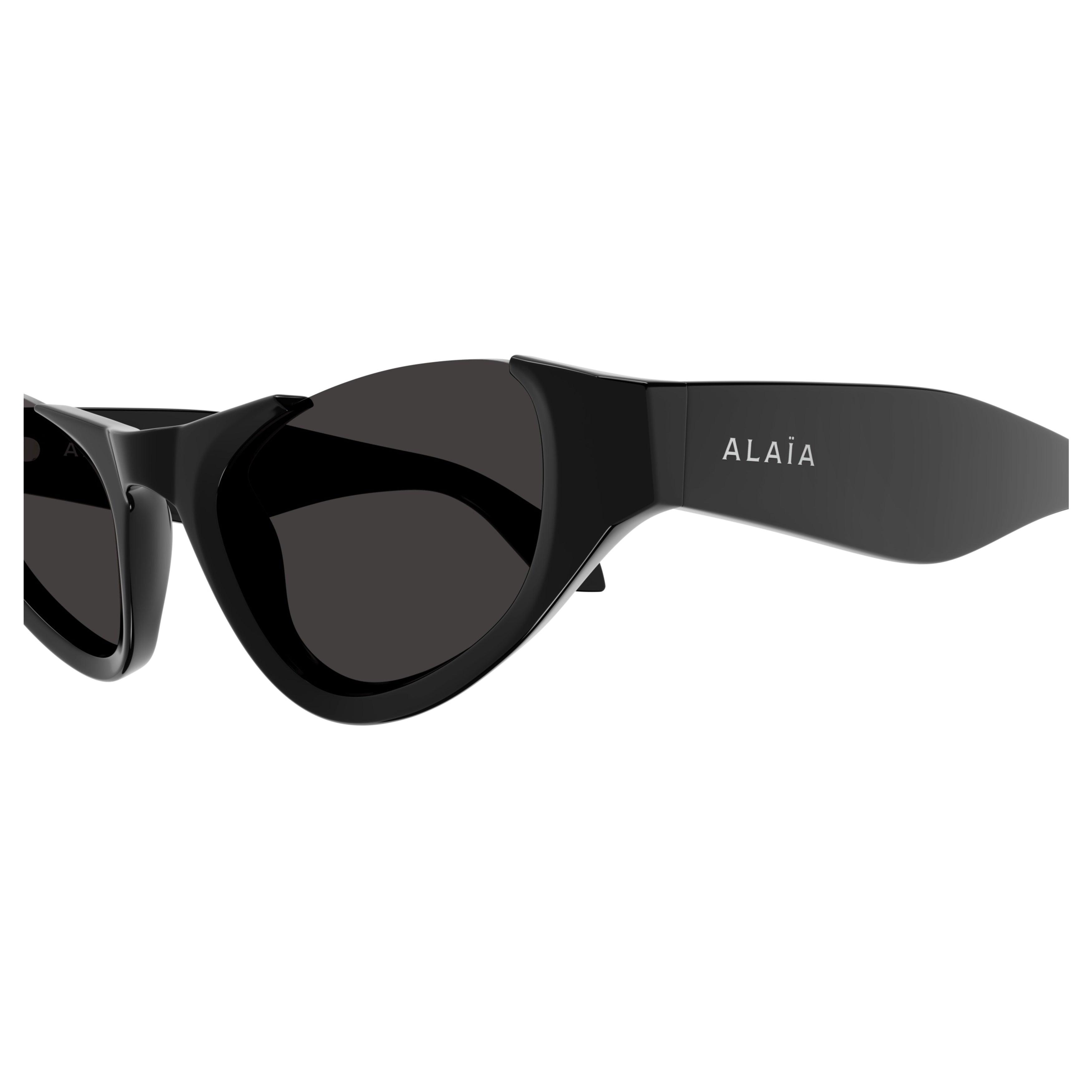 Aa0076s Cat-Eye Sunglasses in Glossy Black Recycled Acetate