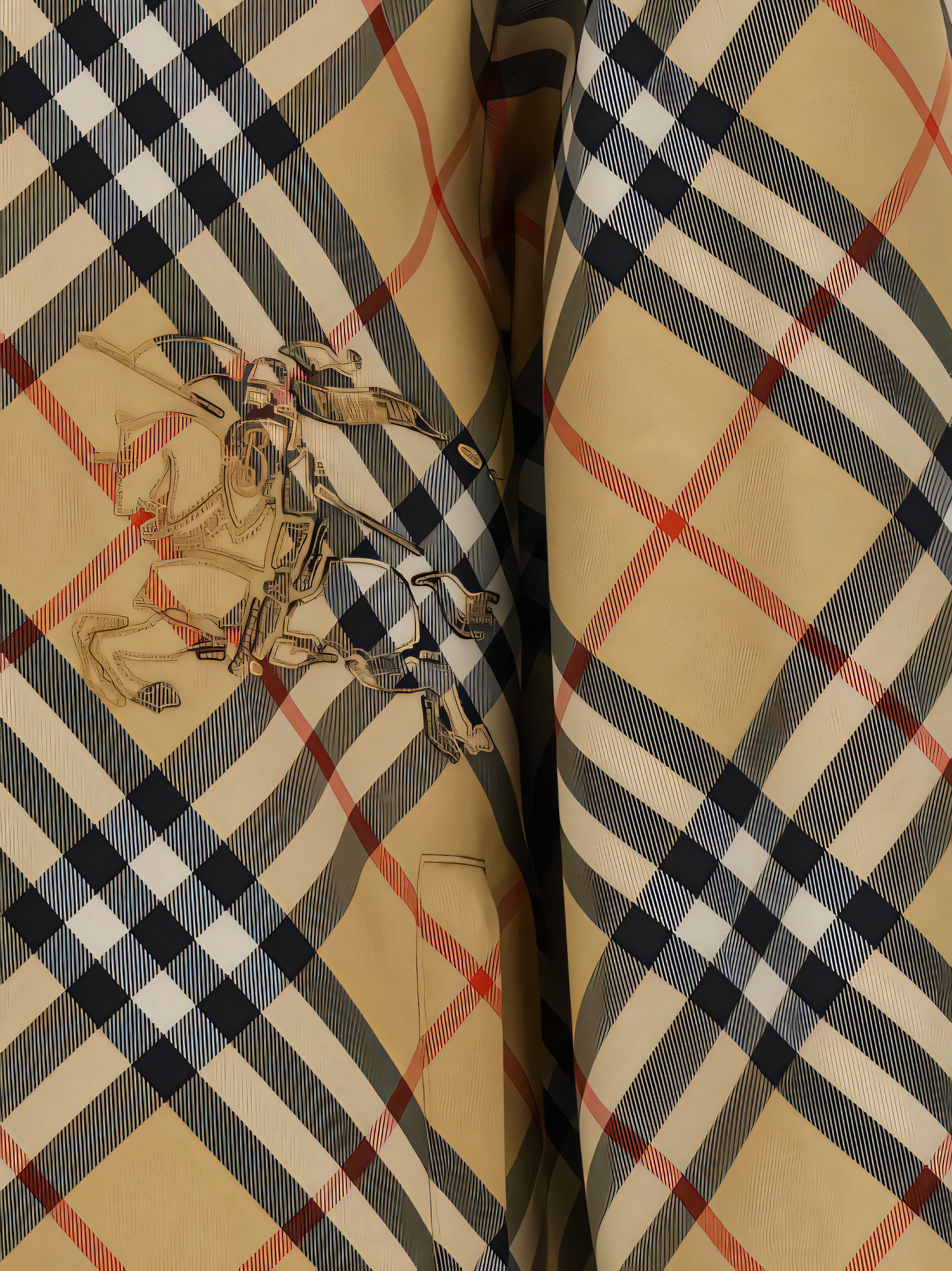 Reversible Check and Solid Black Trapper Jacket