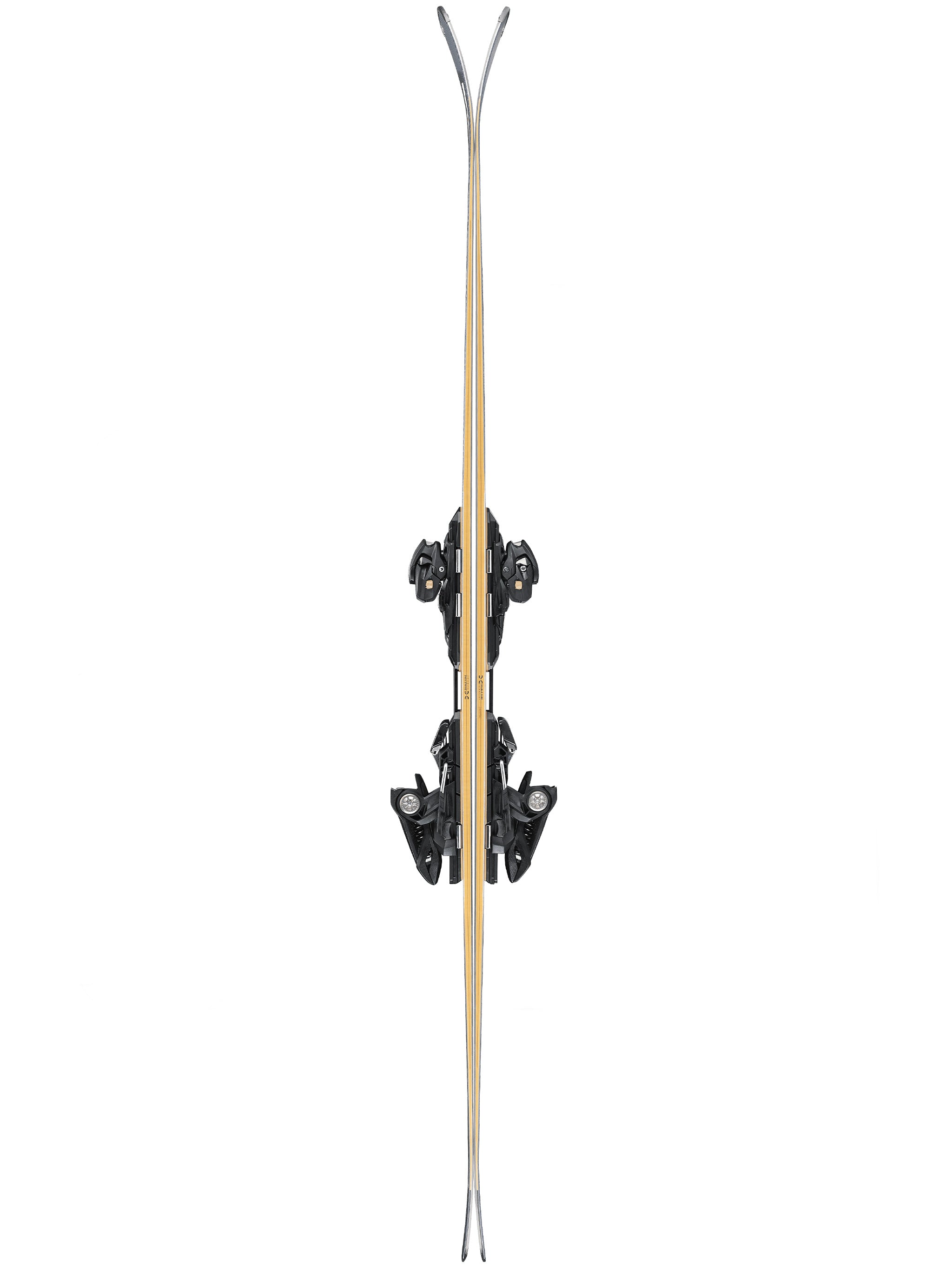 Beige Dobermann Multipista Multipurpose Branded Skis