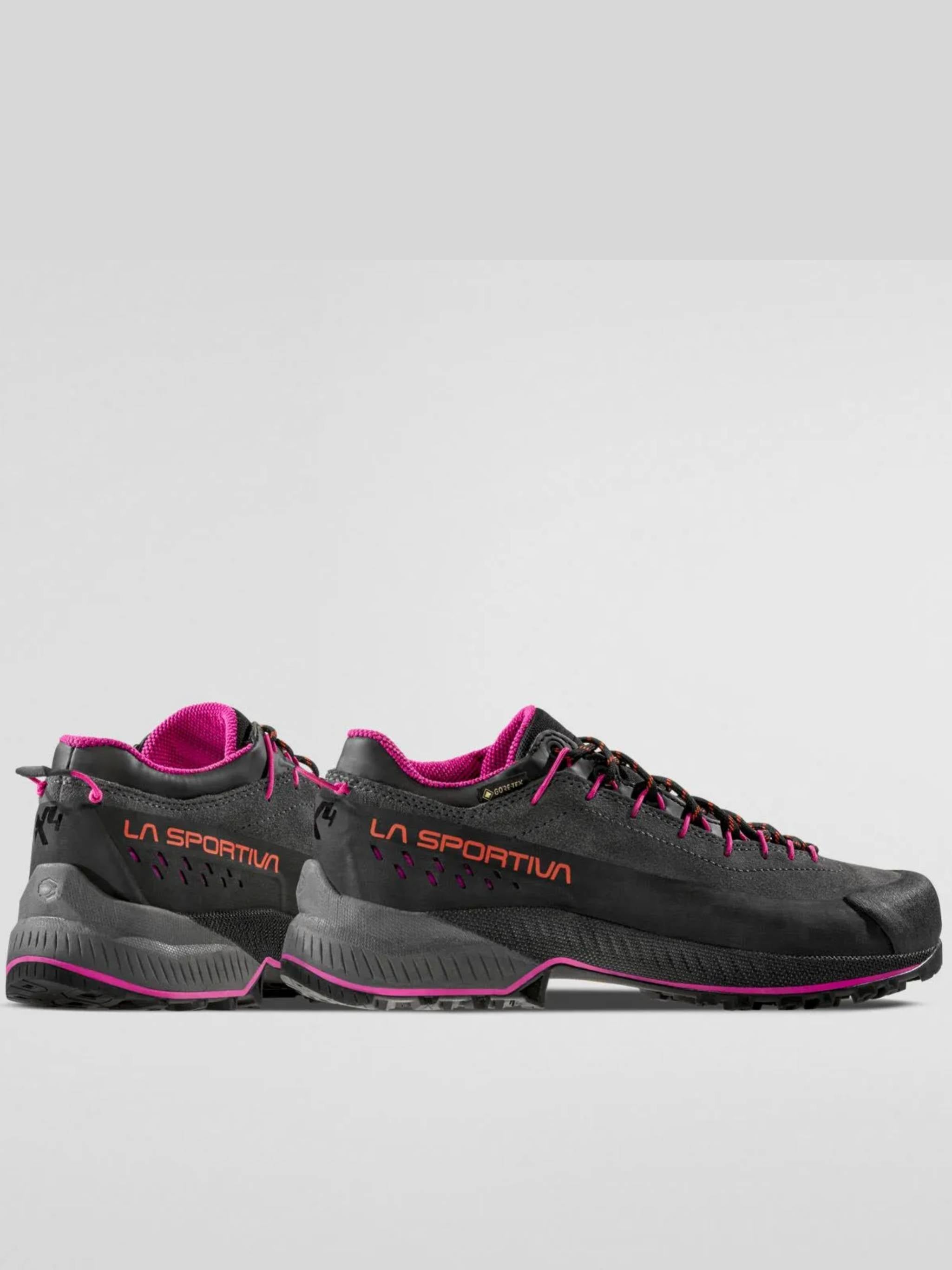 Dark Grey TX4 Evo GTX Outdoor Shoes