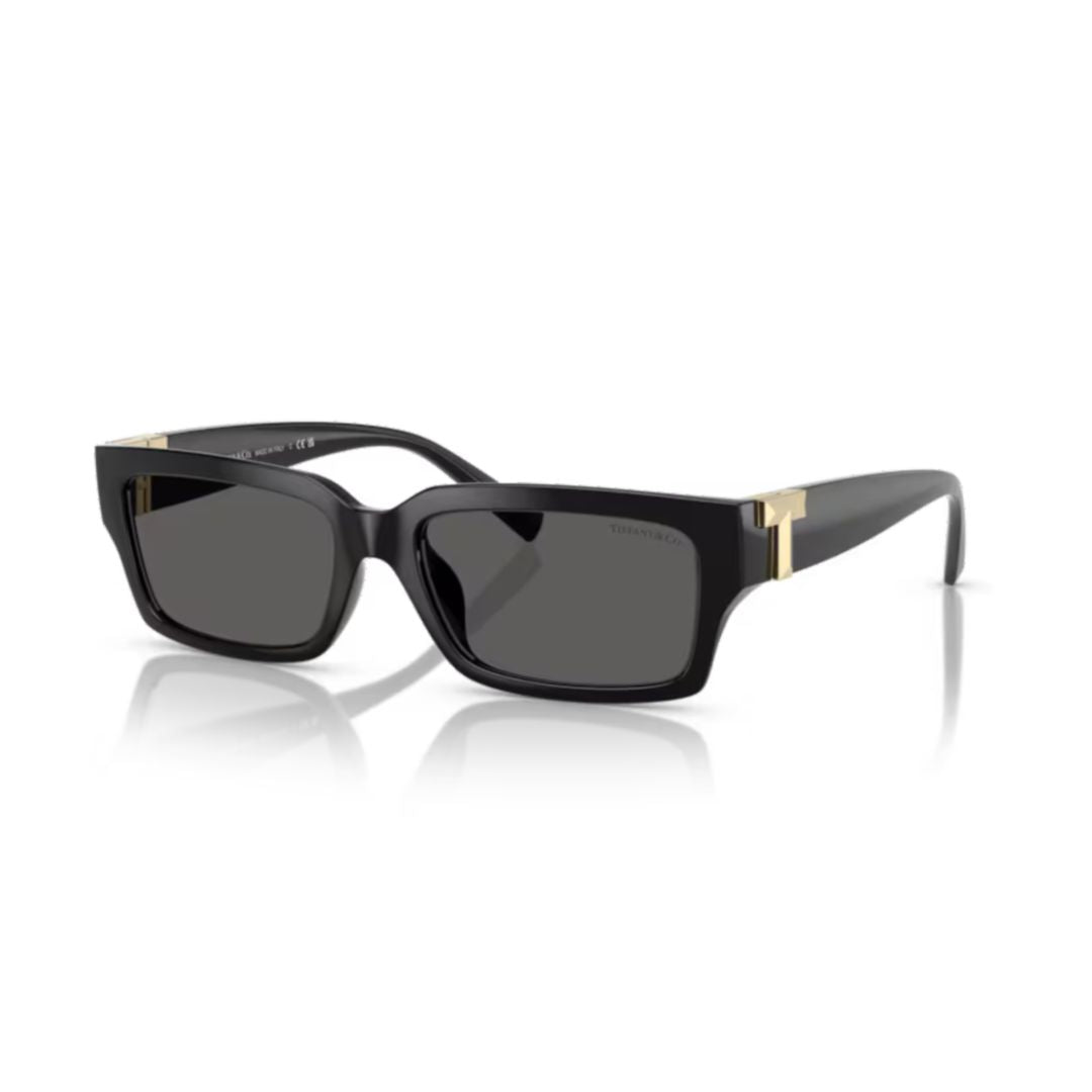 0tf4226u Rectangular Sunglasses
