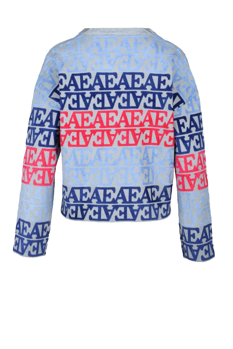 Velvet Logo Knit - Grey/Sky Blue