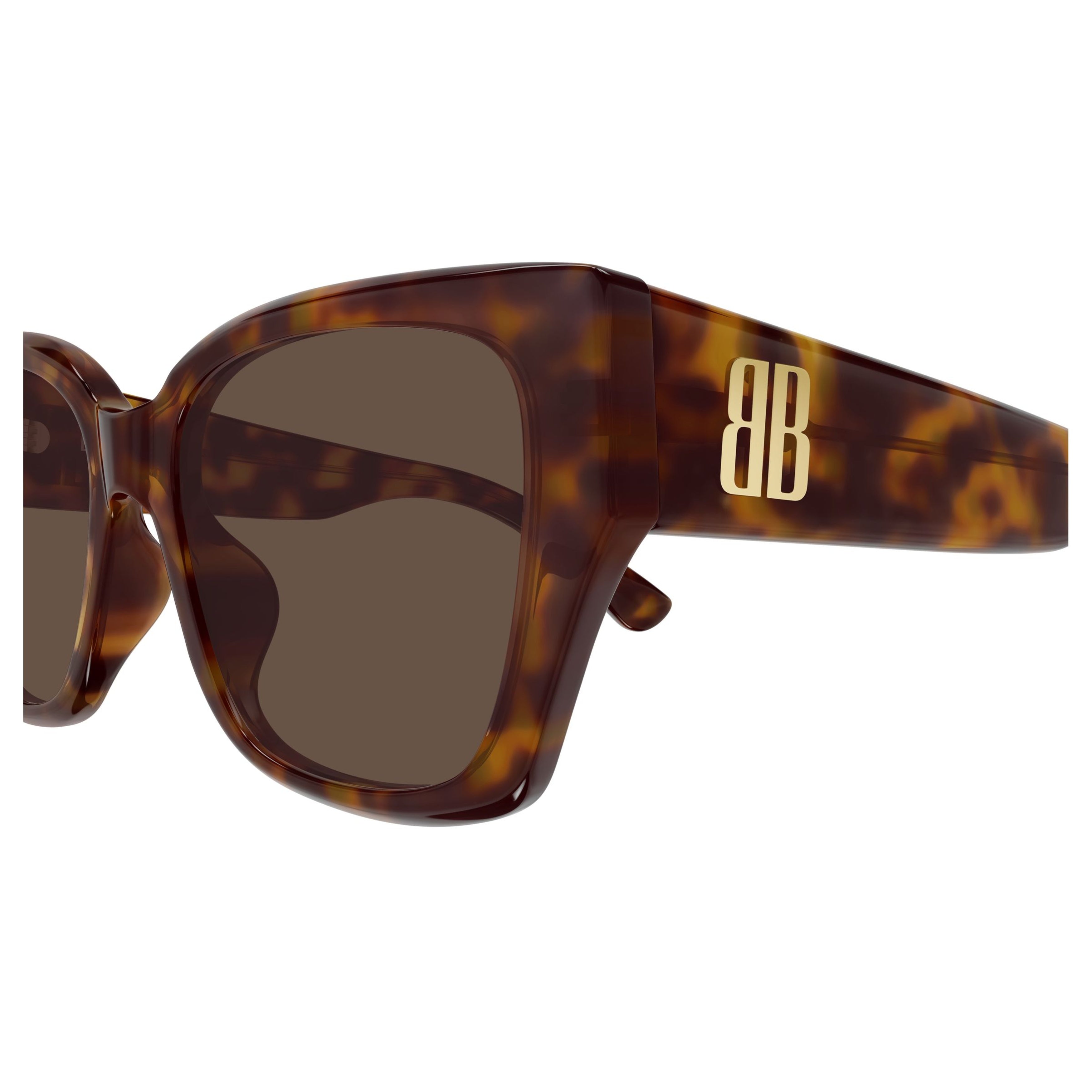 Oversized Tortoiseshell Acetate Sunglasses With Gold Accents