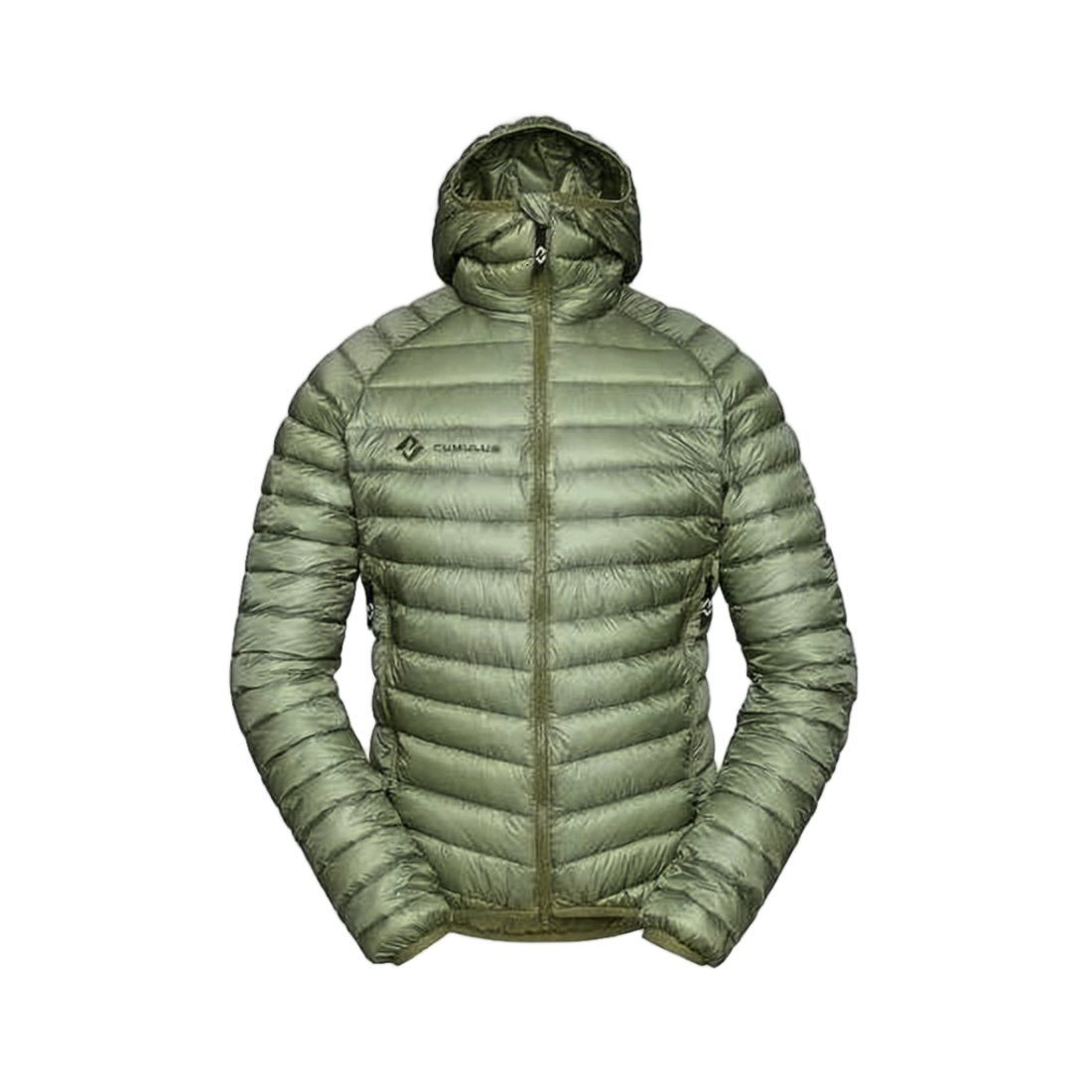 Fitted Quilted Down Jacket with Hood