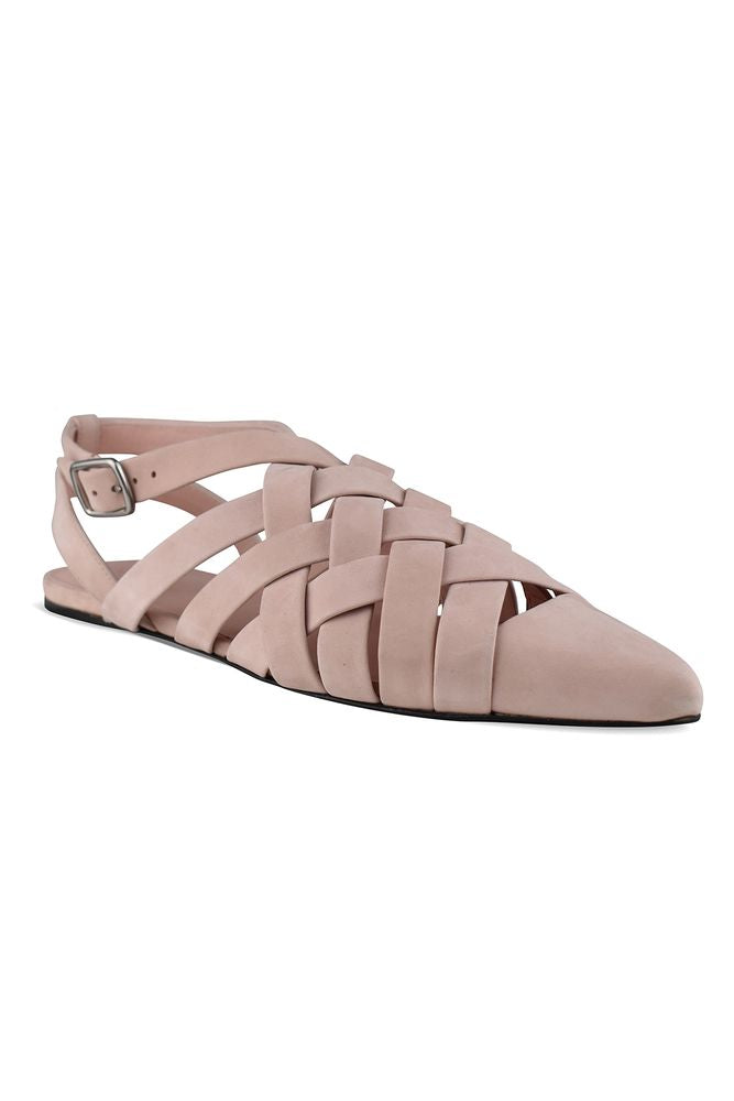 Silene Ballerinas