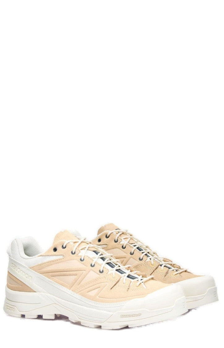 Low-Top Sneakers with Suede and Canvas Detailing
