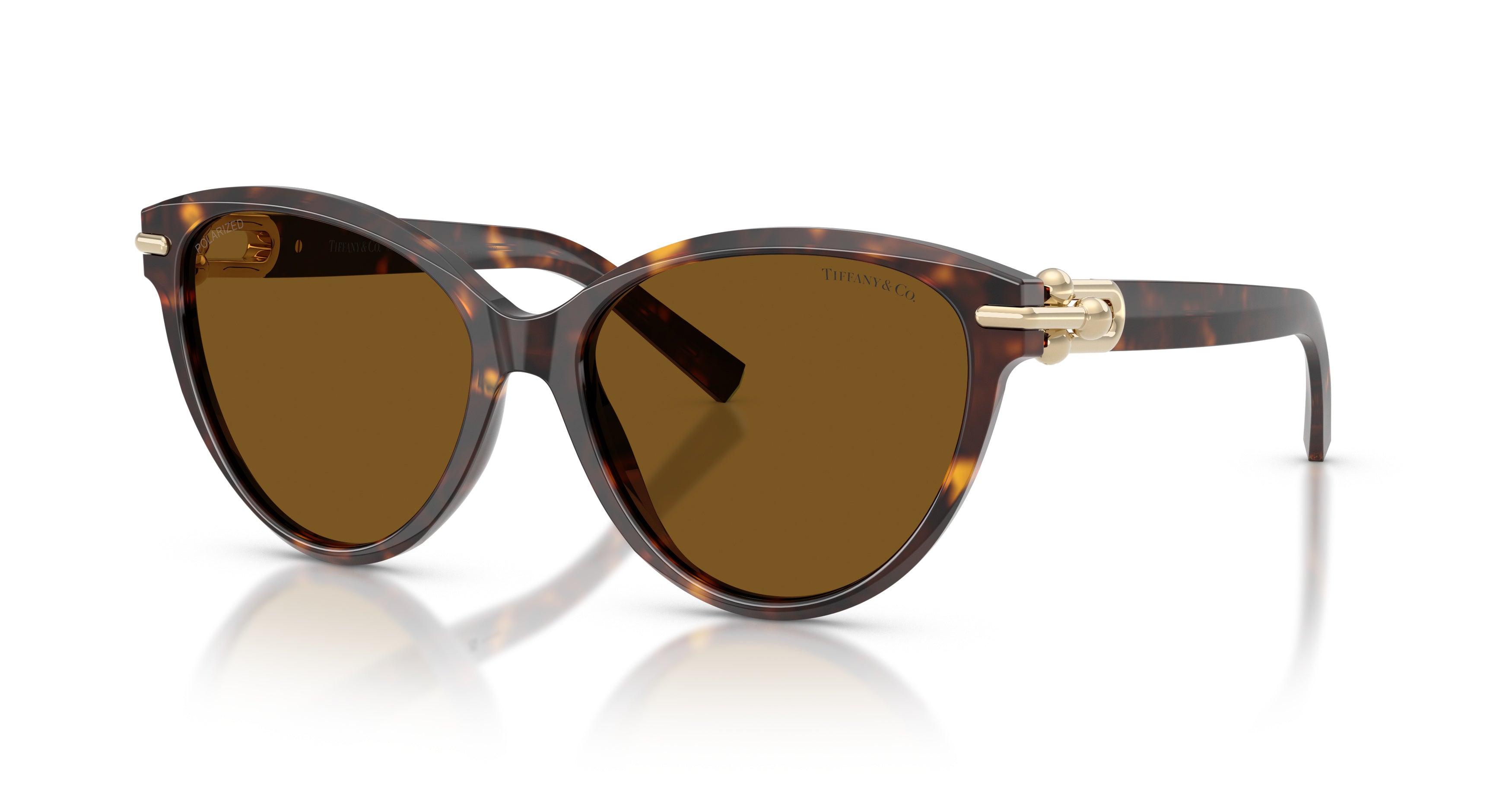 0tf4261 Rounded Cat-Eye Sunglasses
