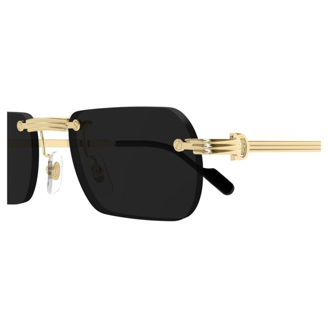 Ct0499s Rectangular Black Lens Sunglasses