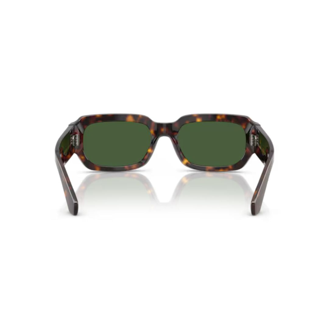 0dg4485 Rectangular Tortoiseshell Acetate Sunglasses