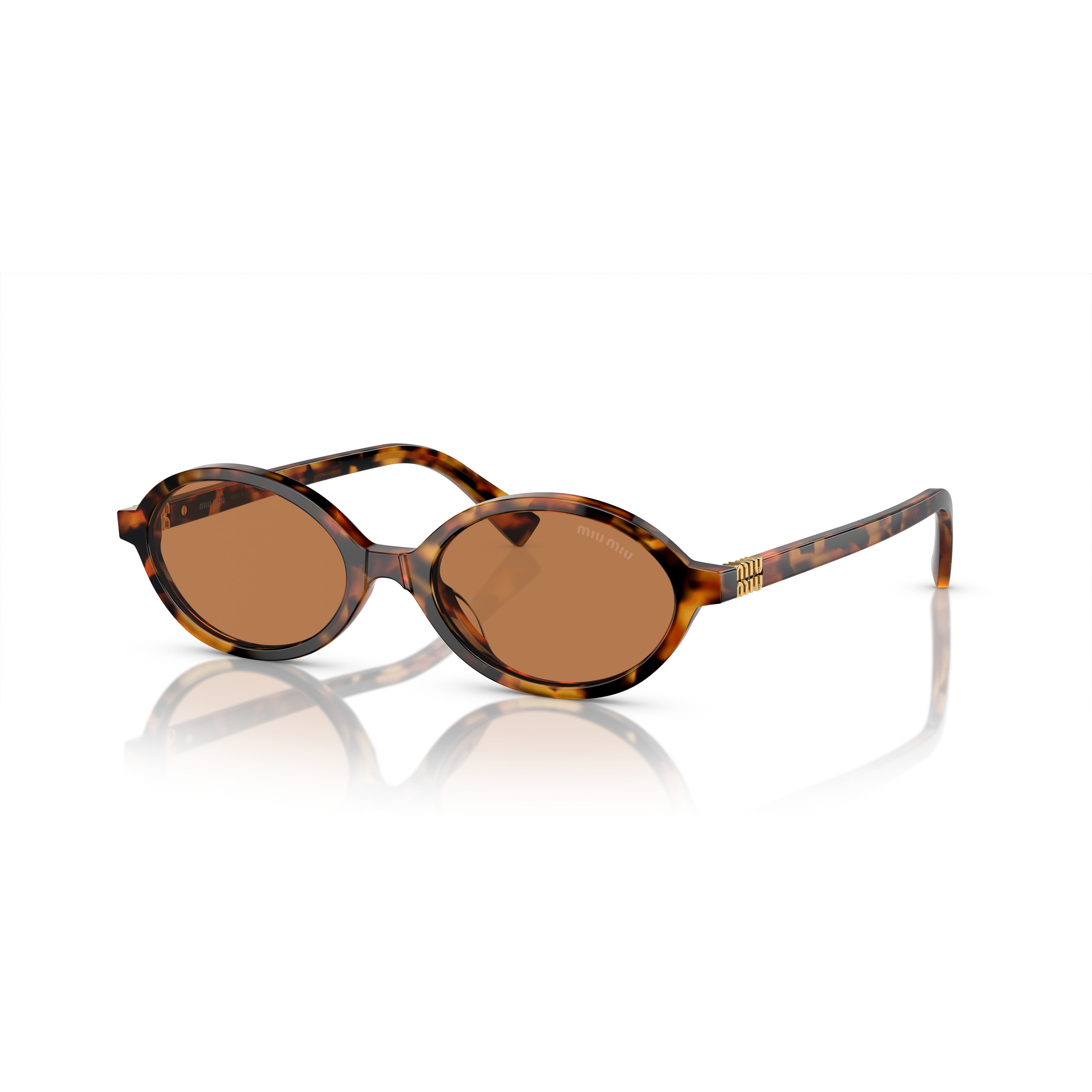 Tortoiseshell Acetate Oval Sunglasses with Gold Accents