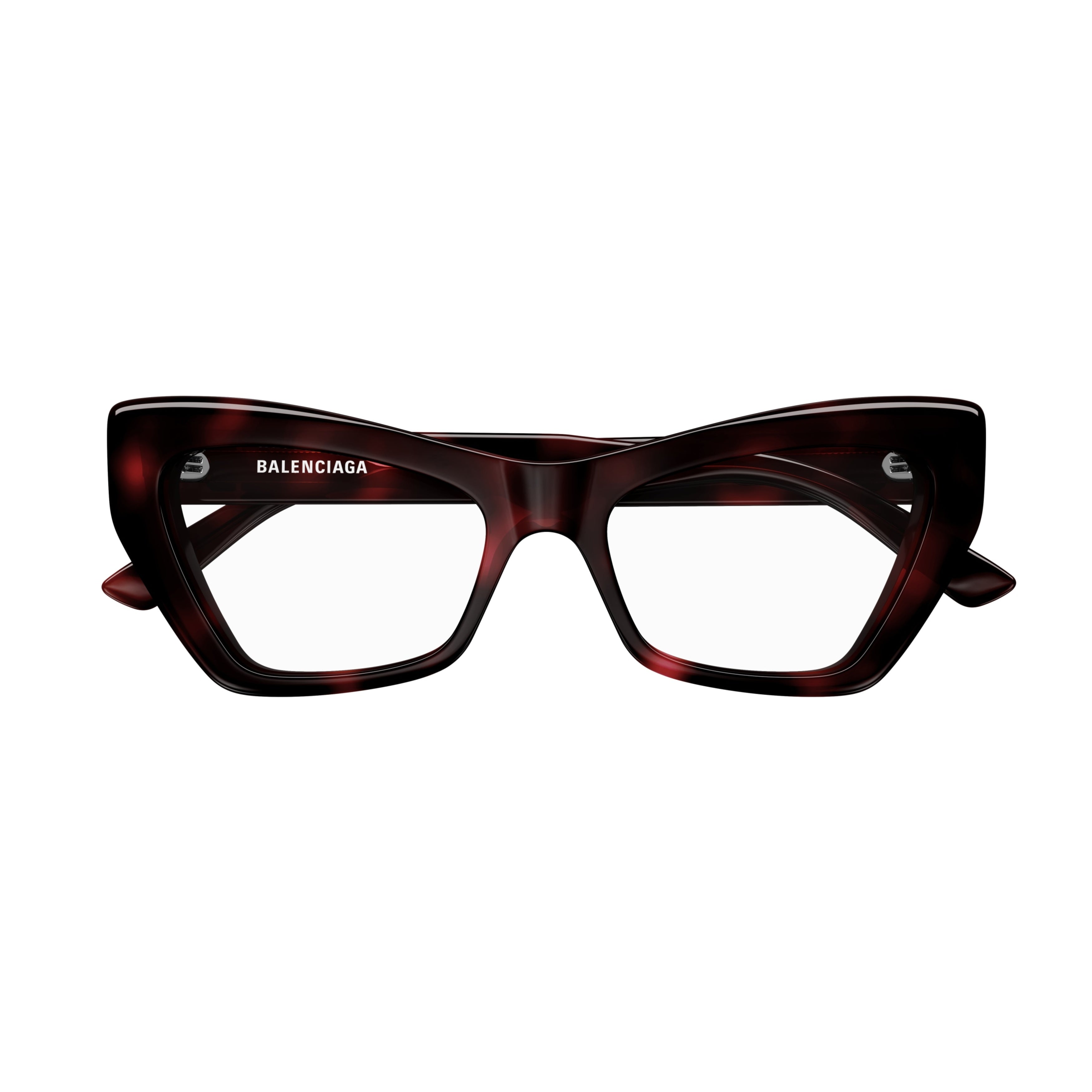 Bb0296o Bold Cat-Eye Sunglasses in Tortoiseshell Acetate