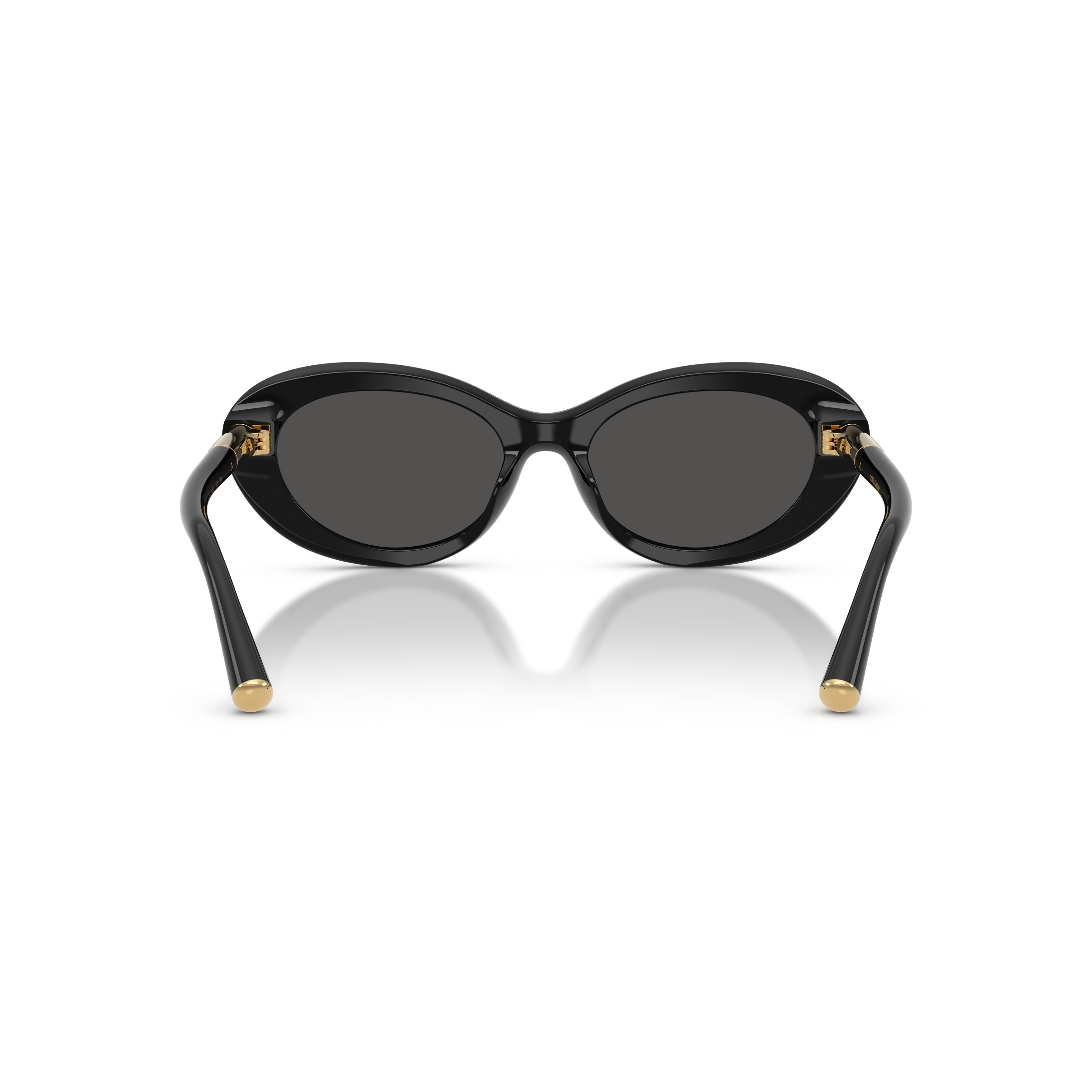 0dg4519 Oval Frame Sunglasses