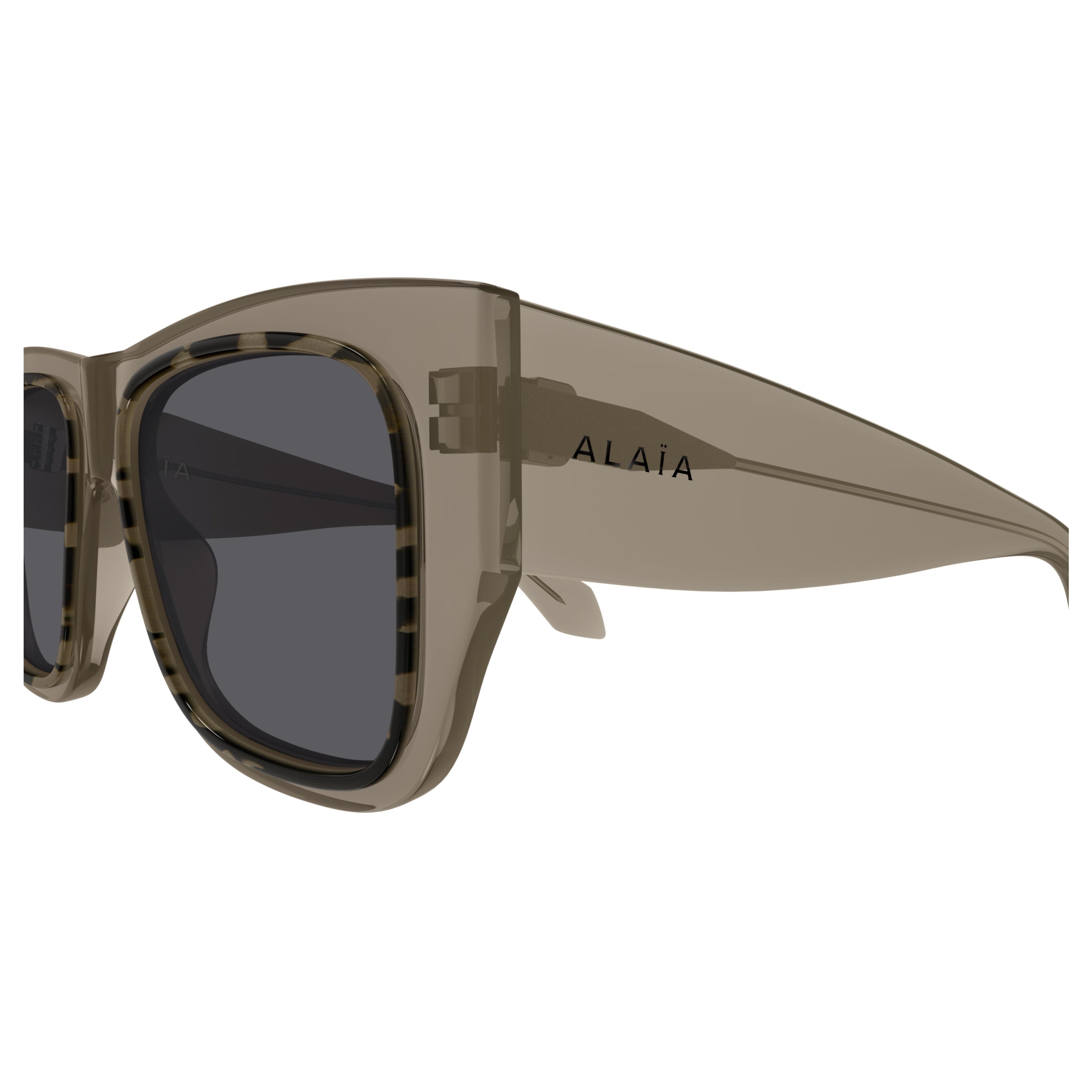 Aa0090s Oversized Square Sunglasses in Translucent Taupe