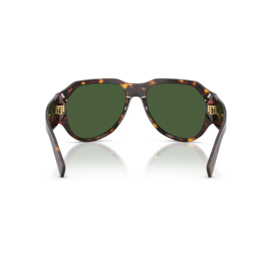 0dg4504 Oversized Tortoiseshell Acetate Sunglasses