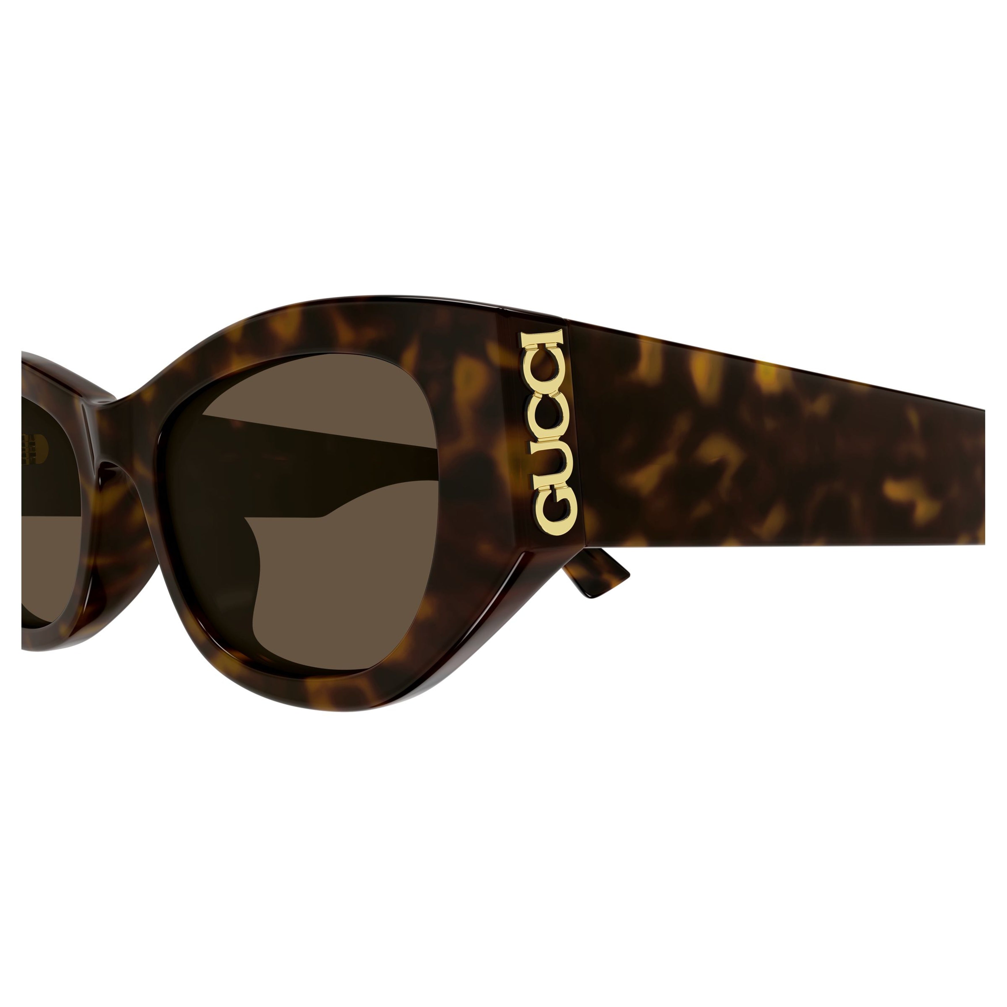 Gg2044sa Oversized Cat-Eye Sunglasses