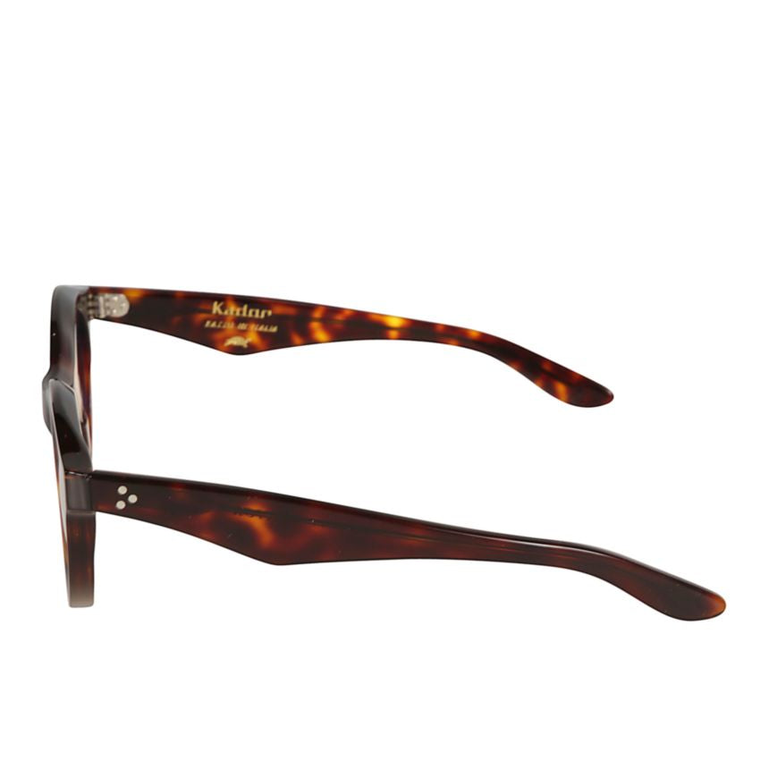 Thick Rounded Tortoiseshell Sunglasses with Gradient Lenses