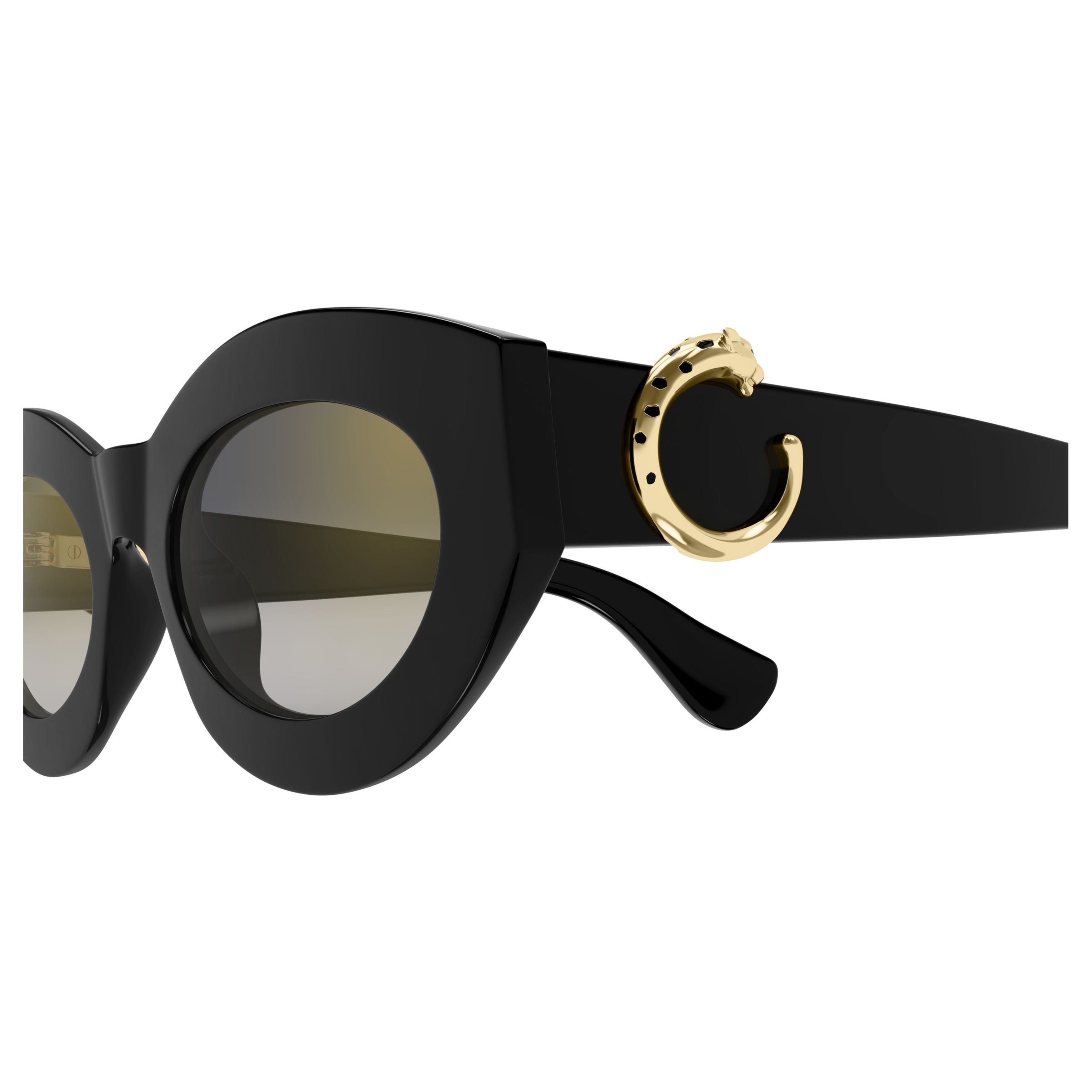 Ct0638s Cat-Eye Sunglasses with Gold-tone Embellishments