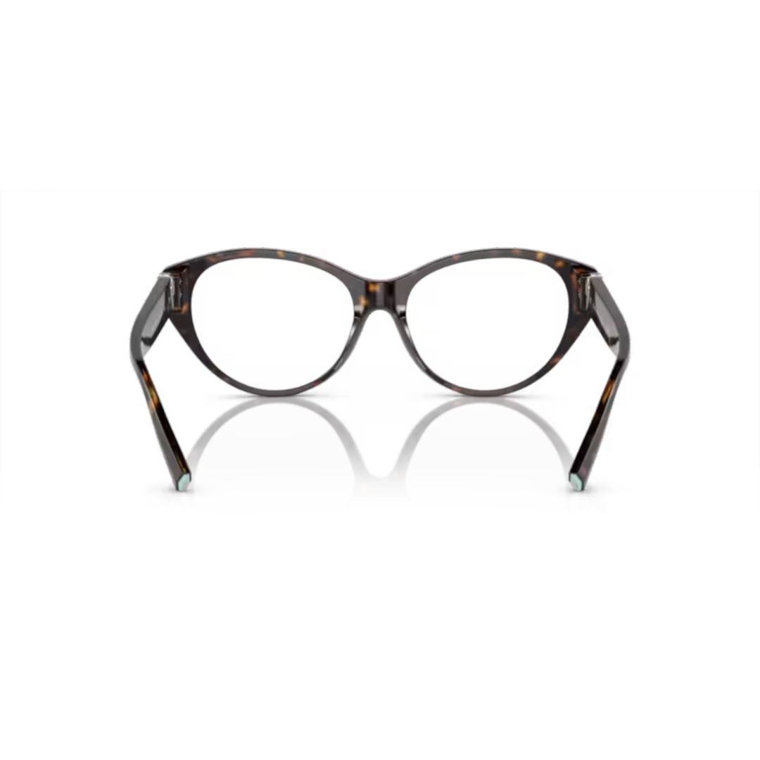 2244 Vista Classic Cat-Eye Tortoiseshell Sunglasses