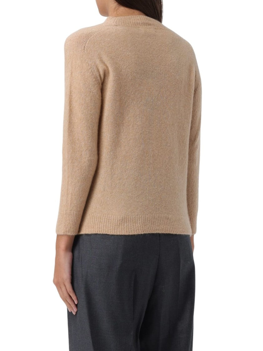 Brown Longsleeves Sweater