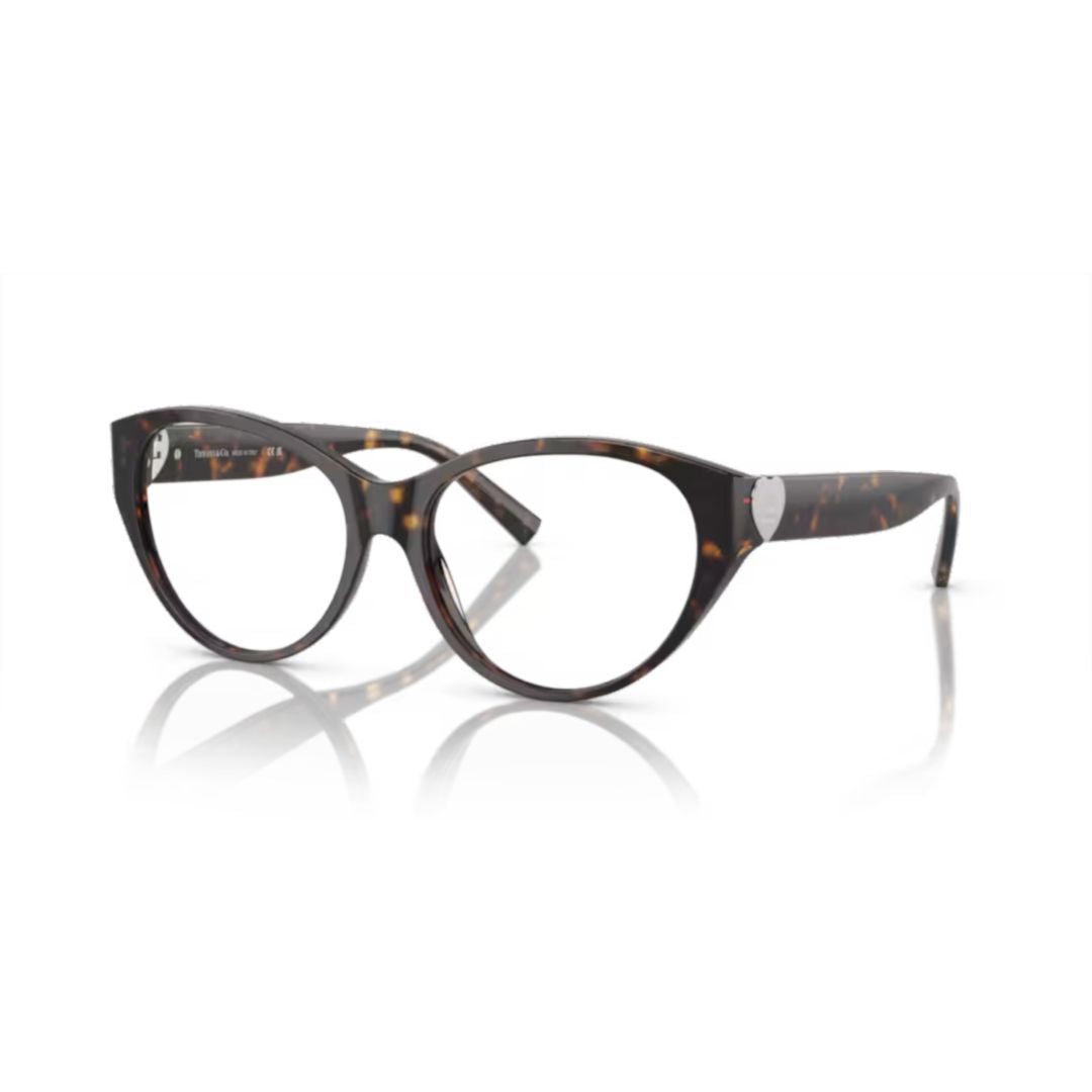 2244 Vista Classic Cat-Eye Tortoiseshell Sunglasses