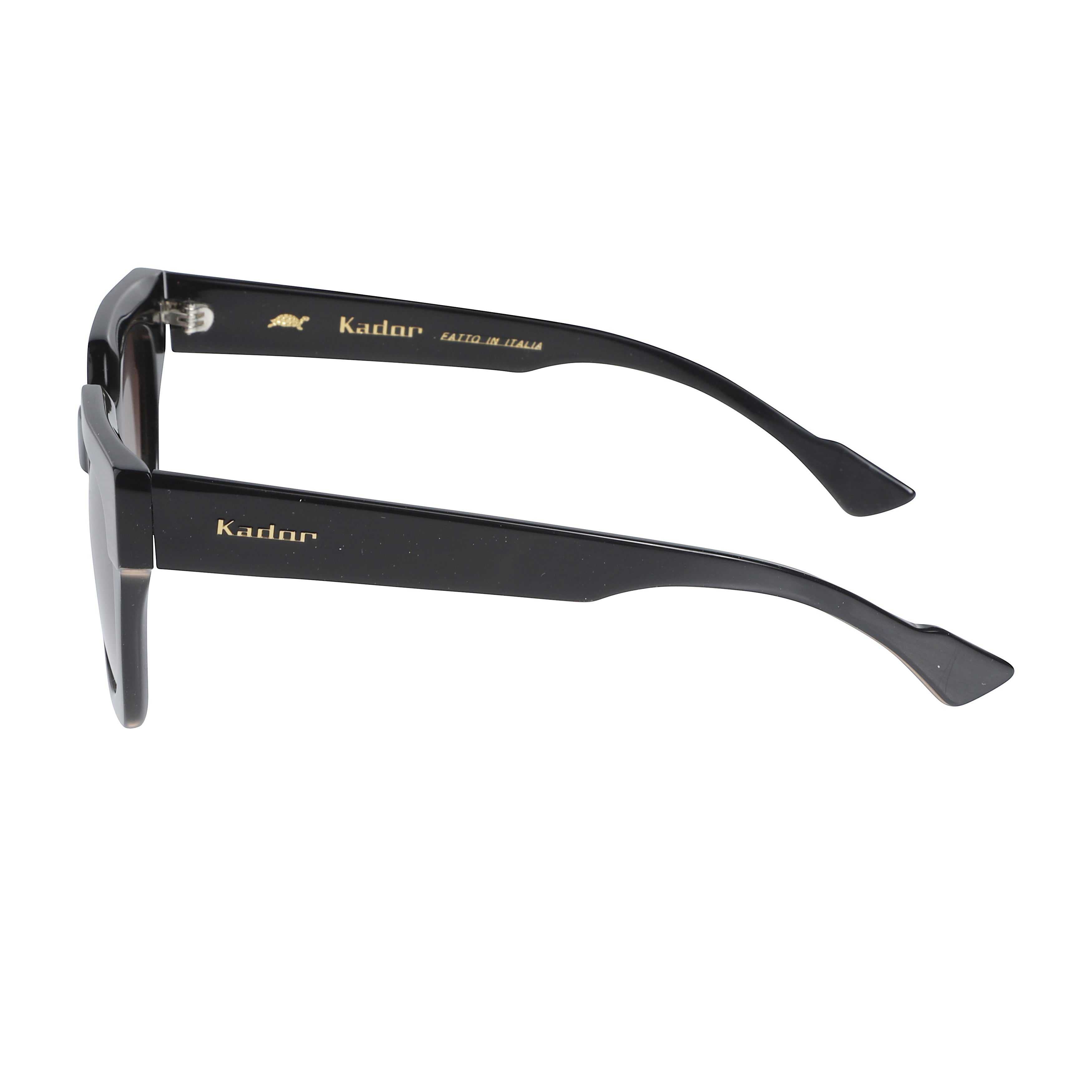 Portofino/N Bold Two-Tone Oversized Square Frame Sunglasses