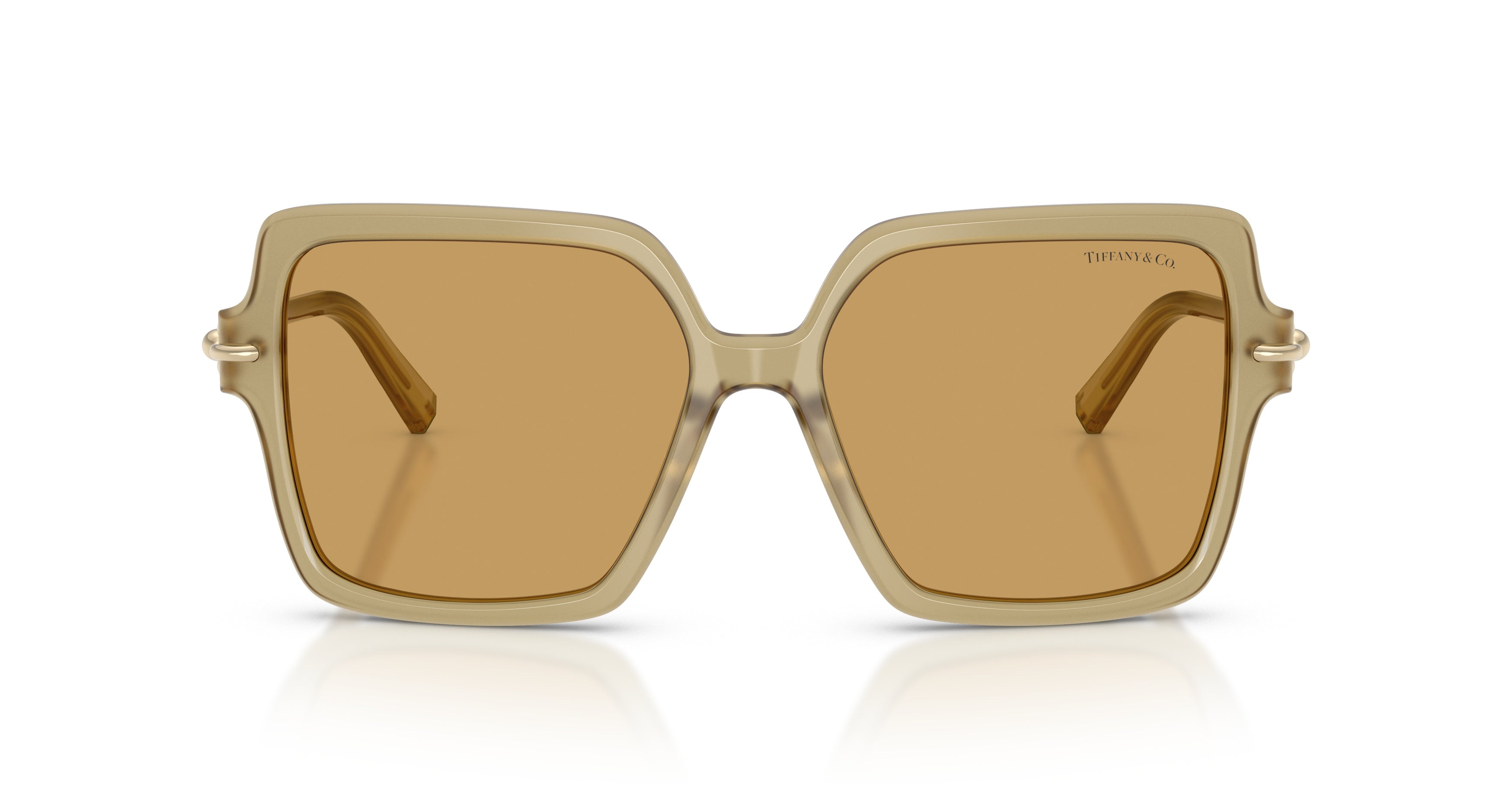0tf4260u Translucent Beige Acetate Sunglasses