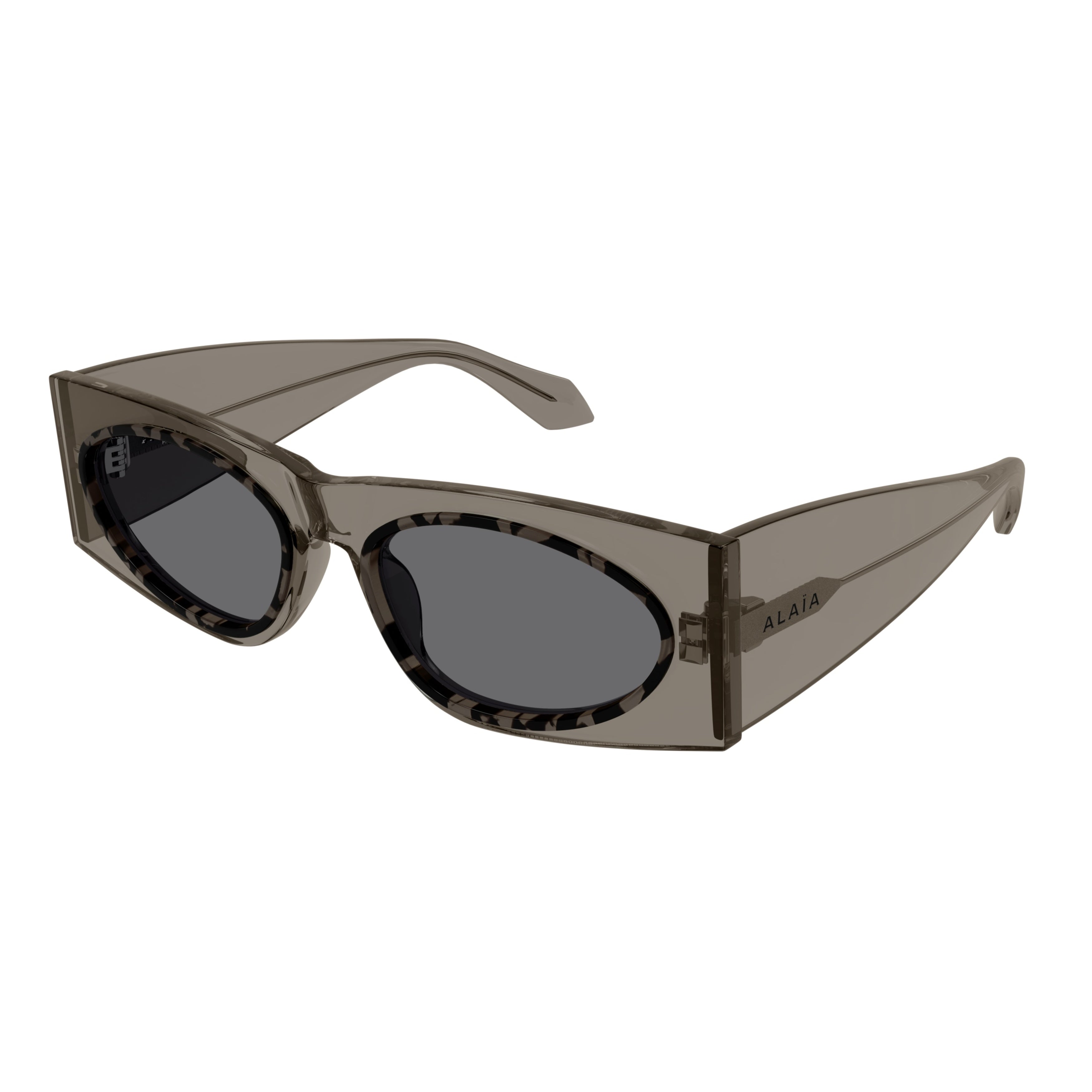 Aa0085s Oversized Rectangular Sunglasses with Tortoiseshell Pattern